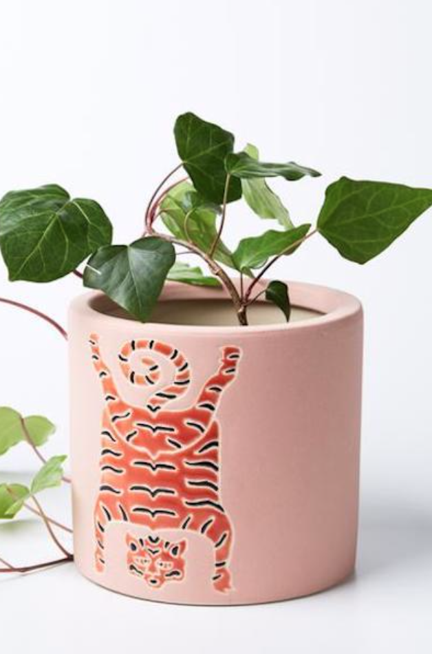 Tibetan Tiger Planter