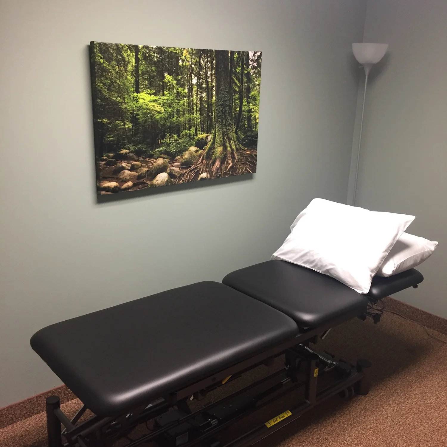 root-physio-clinic-space.jpg