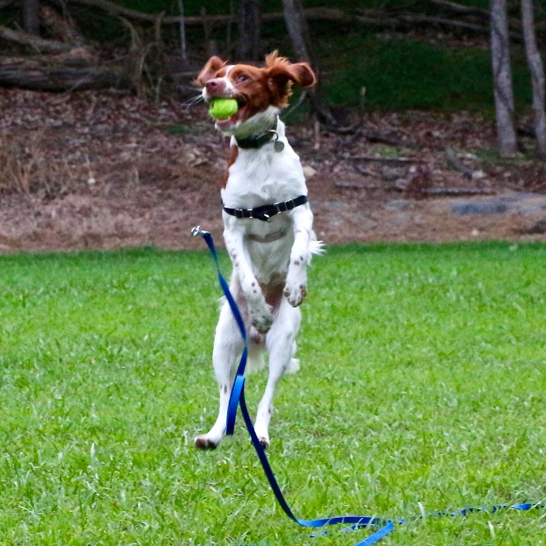 jump.jpg