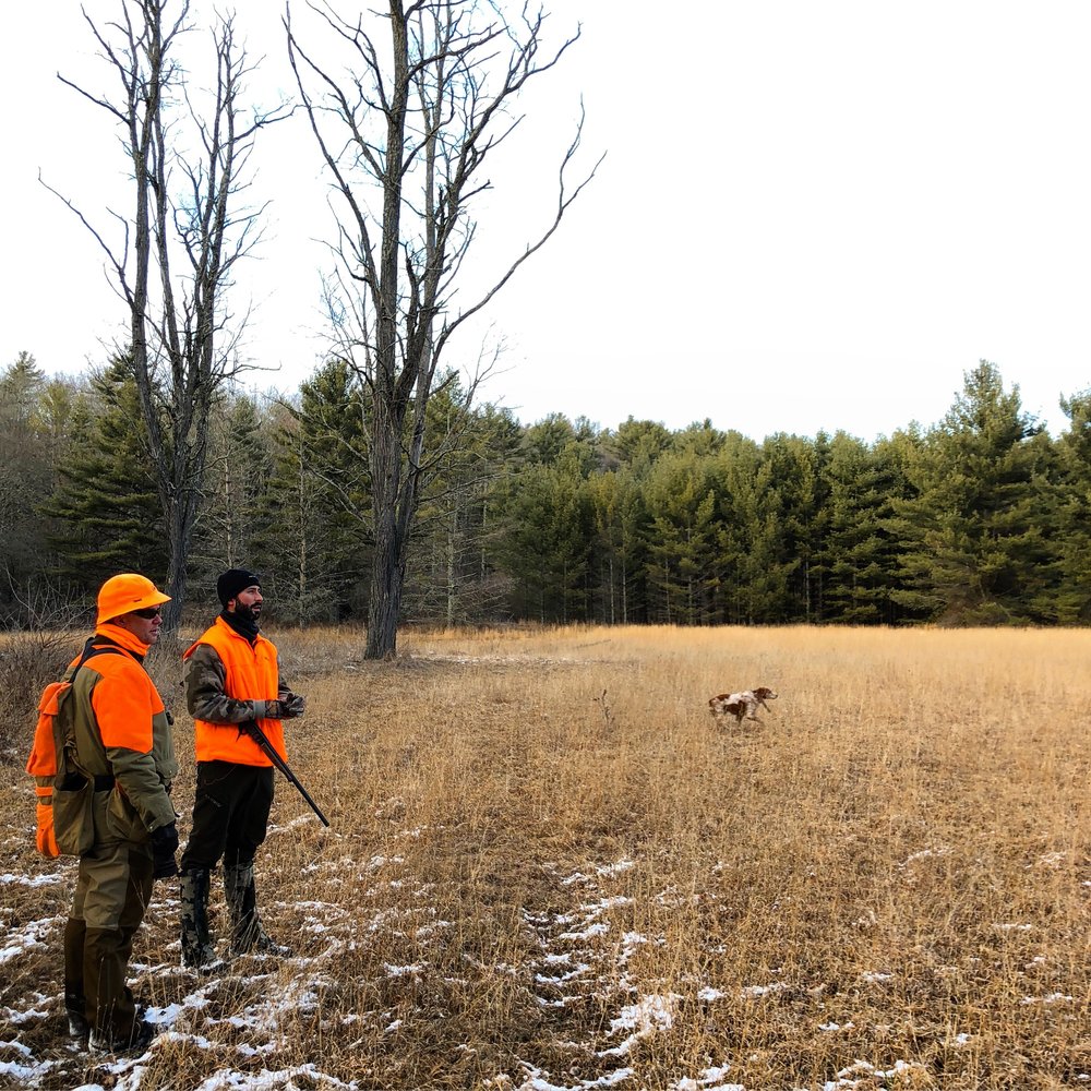  Chip and Justin surveying the low hunt field with Antar working the field 