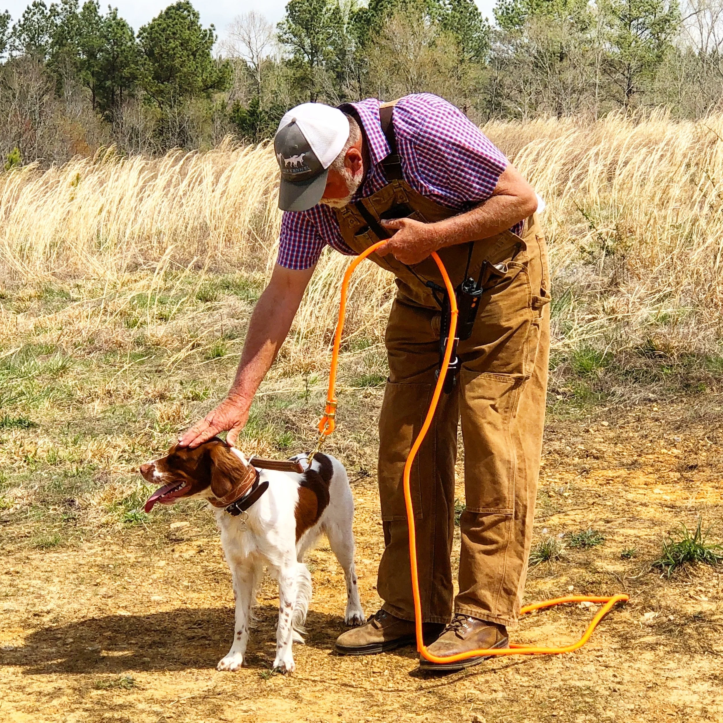 Golden Retriever Training Bird Hunting Dog Training Clicker Dog
