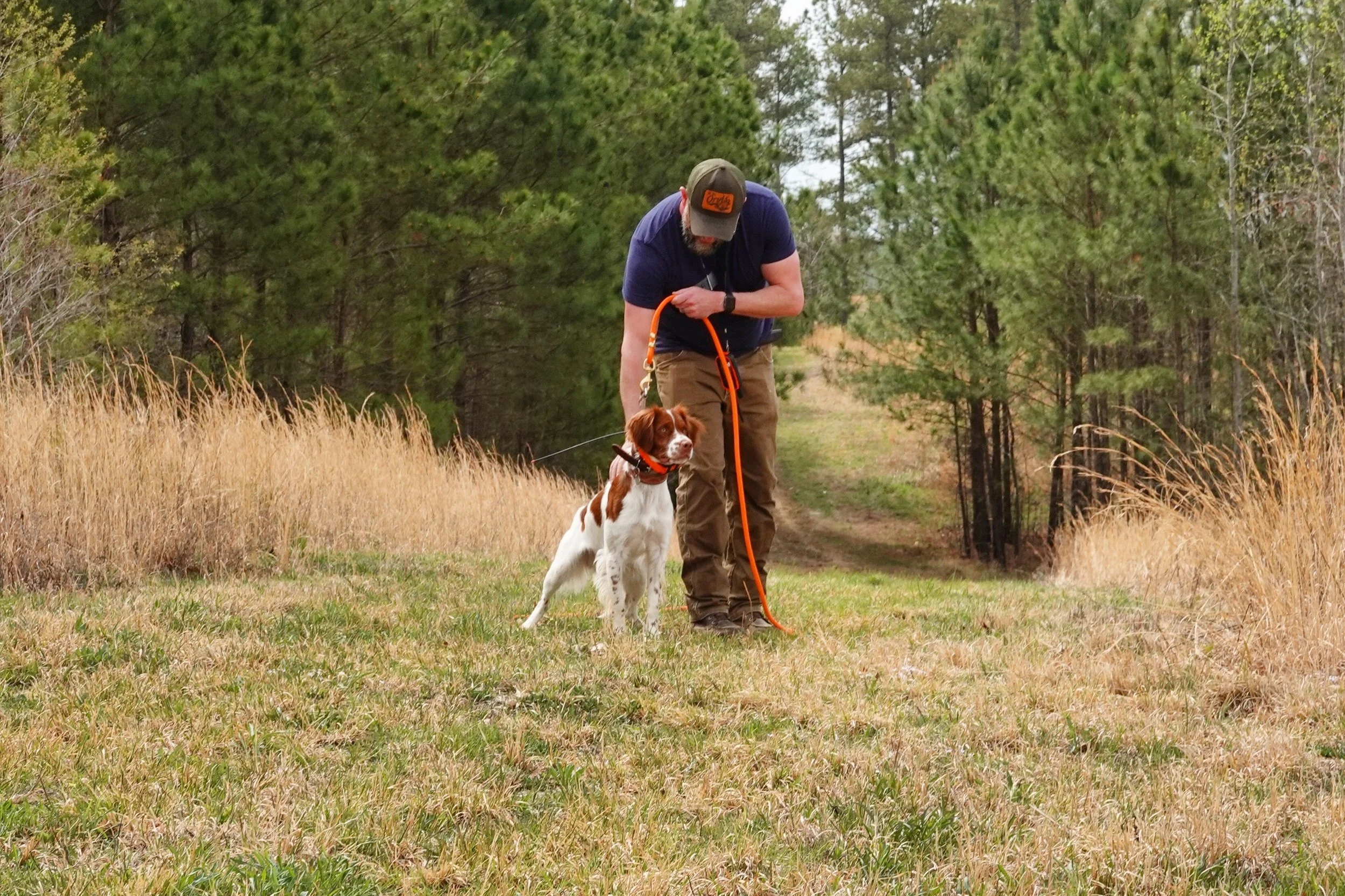 Lincoln learning to back other dogs on point