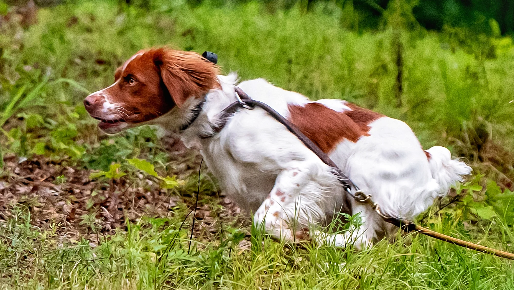  Photo credit: Jimmy Cobb 