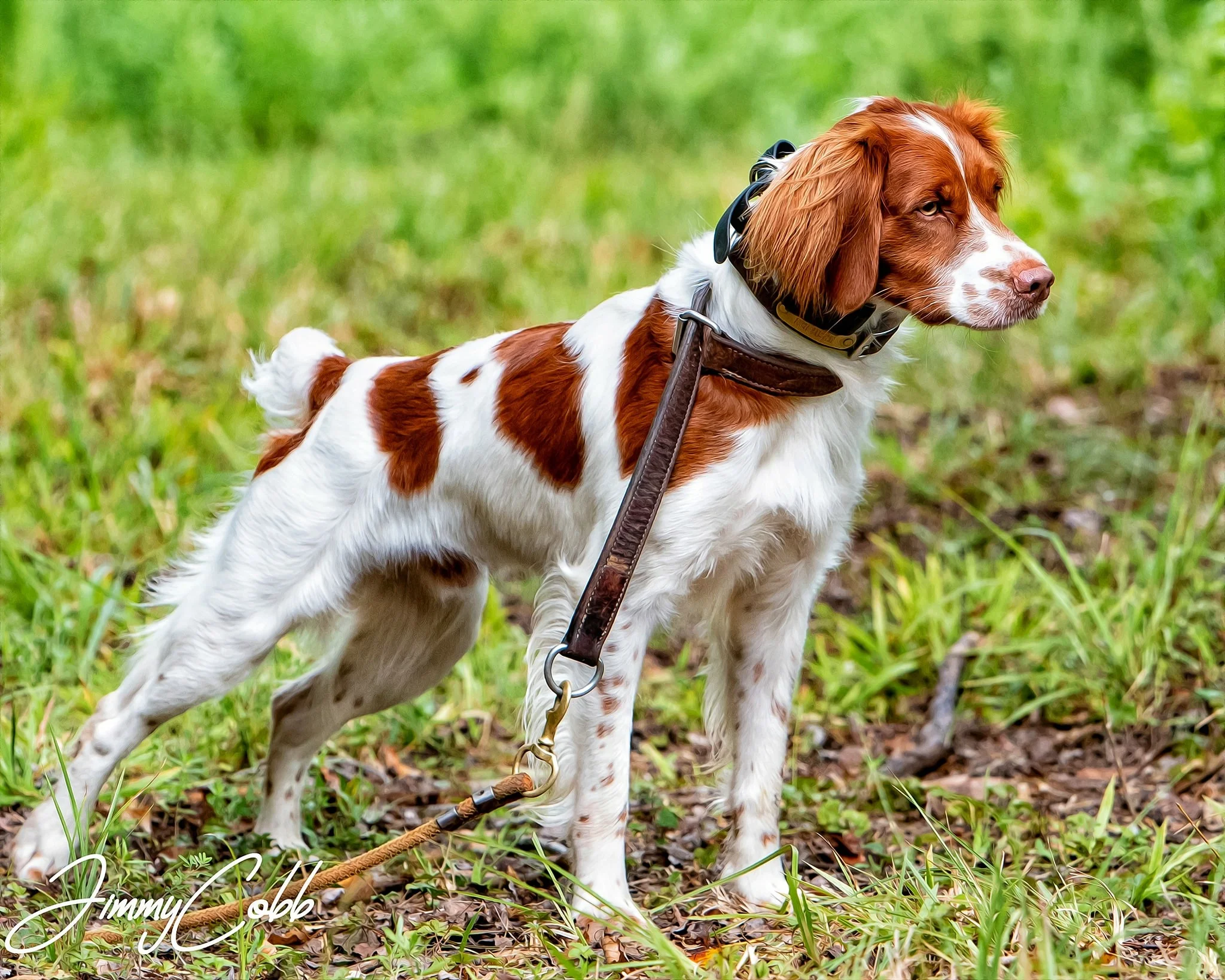  Photo credit: Jimmy Cobb 