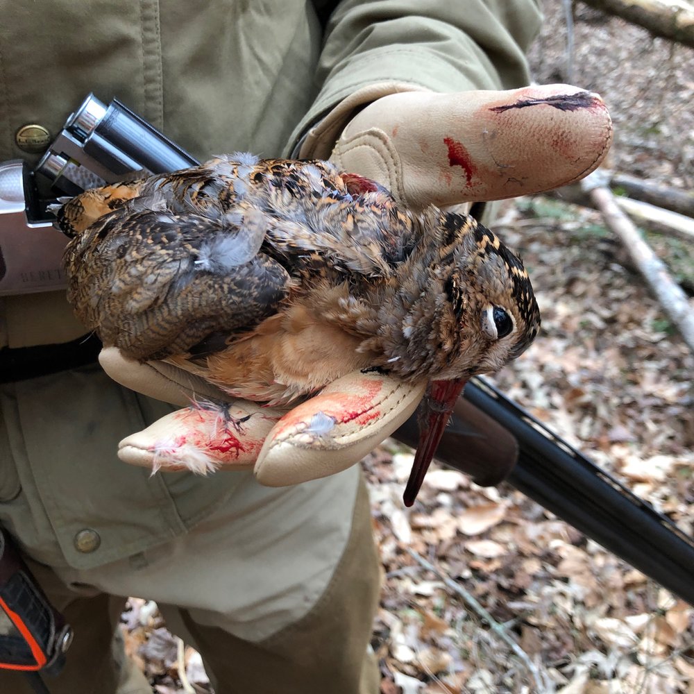  first bird of the day in Chip’s hand 