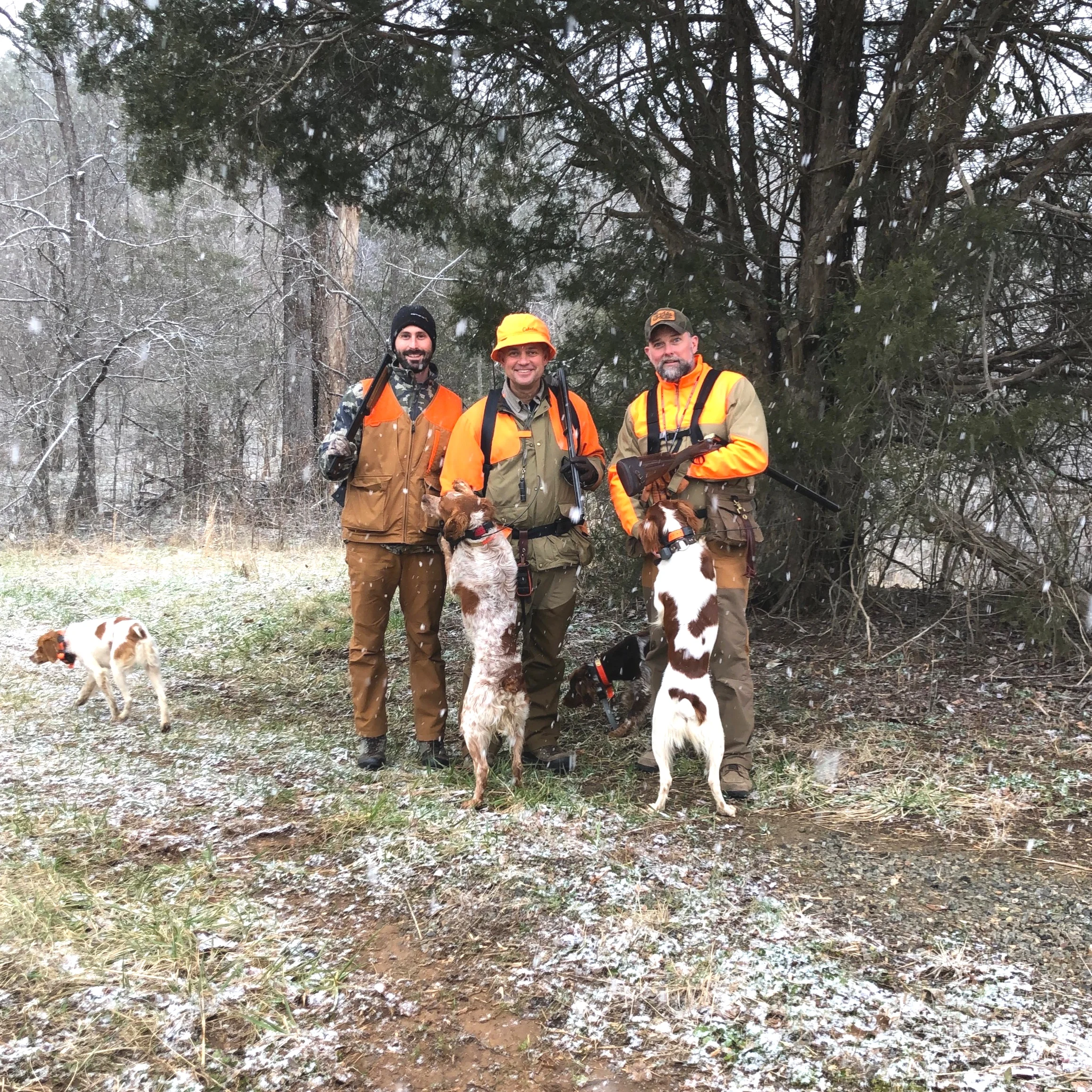 Justin, Chip, and Robb at the start of the hike to the second covert - dogs (from left to right: Otto, Kona, Nova, Lincoln) dialed-in for all the woodcock scent they can get their noses pressed into …