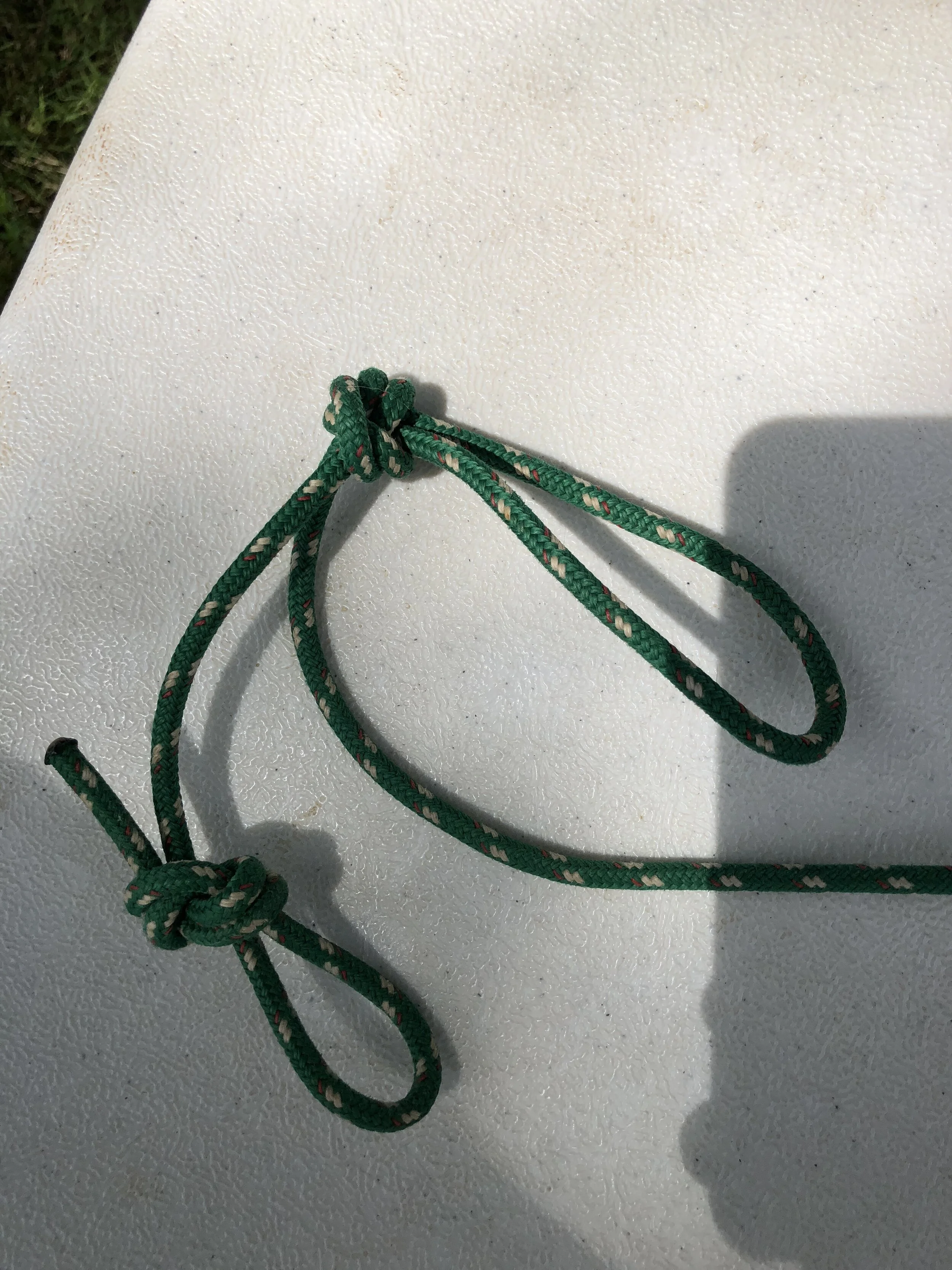  A figure 8 training device - a temporarily-applied, makeshift disciplinary muzzle that does not hinder a dog’s breathing or drinking  