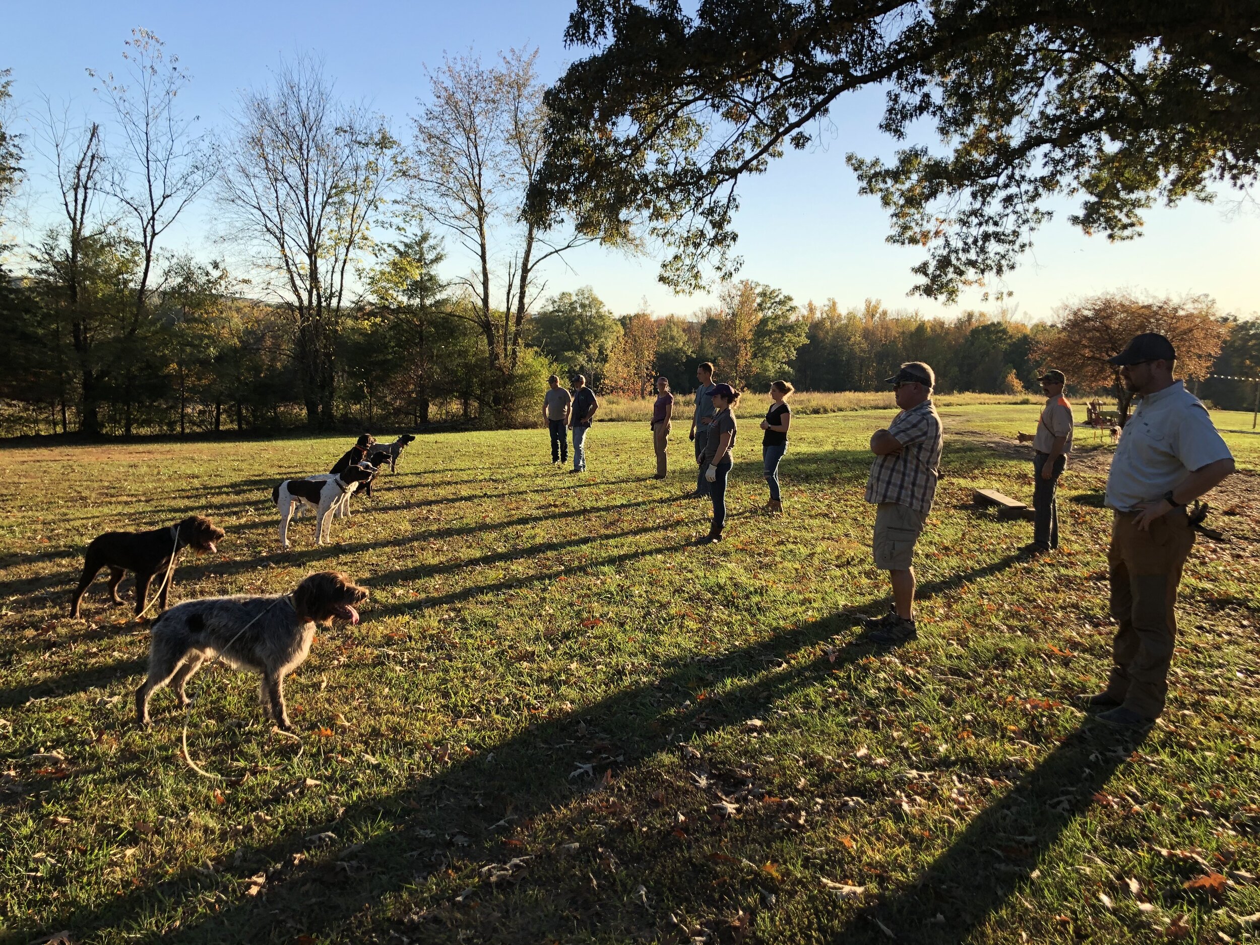 Inaugural intermediate class students and dogs working through standing still and beginning recall