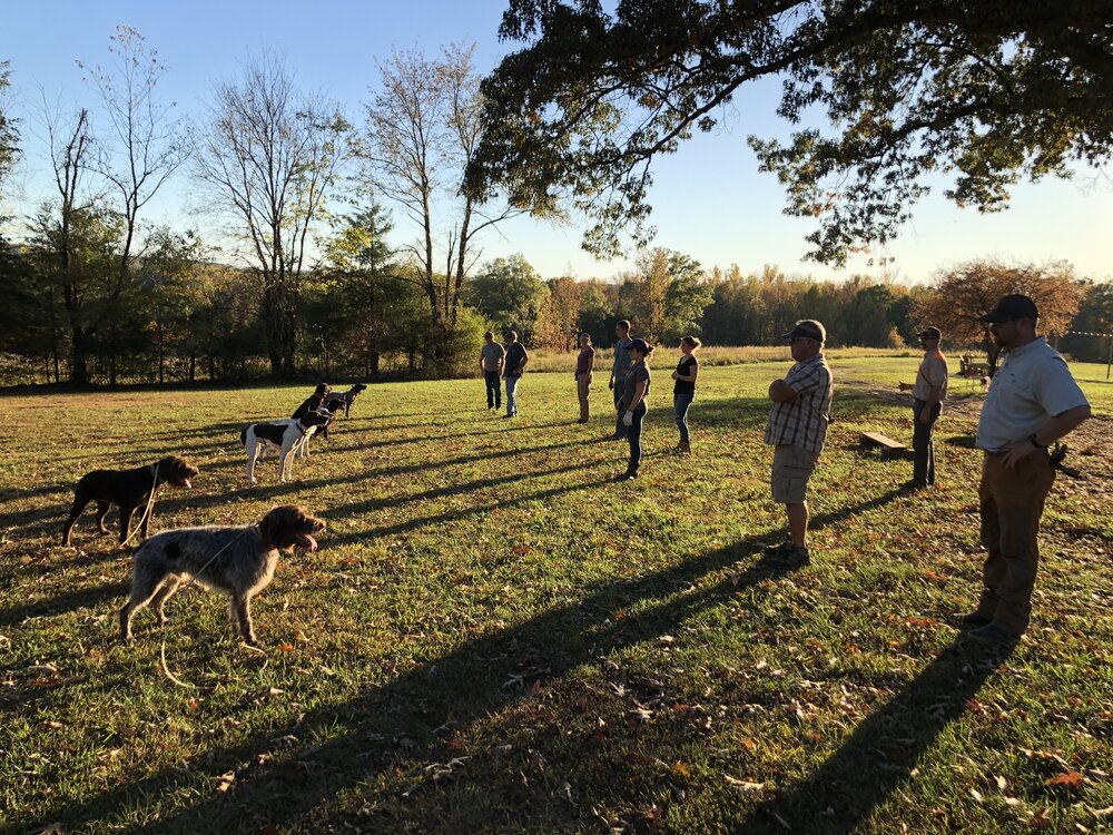  Inaugural intermediate class students and dogs working through standing still and beginning recall 