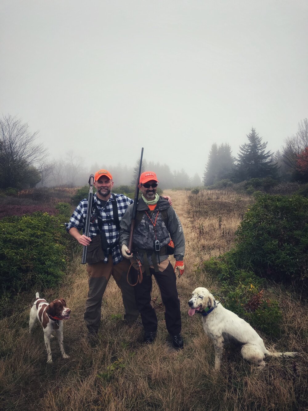  Out of the yard and into the field - training buddies hitting the mountains for wild birds 