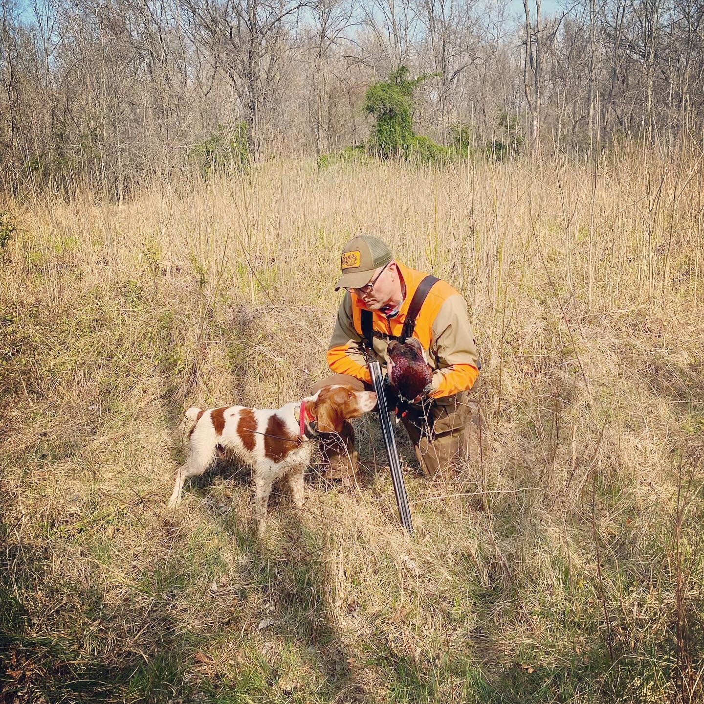 How I spent the first morning of my 50s. Think it&rsquo;s going to be a good decade &hellip; #cleanup #backcountry #dog #brittany #americanbrittany #virginiabrittany #brittanysofinsta #brittanysofinstagram #birddog #birddogs #birddogsofinstagram #bir