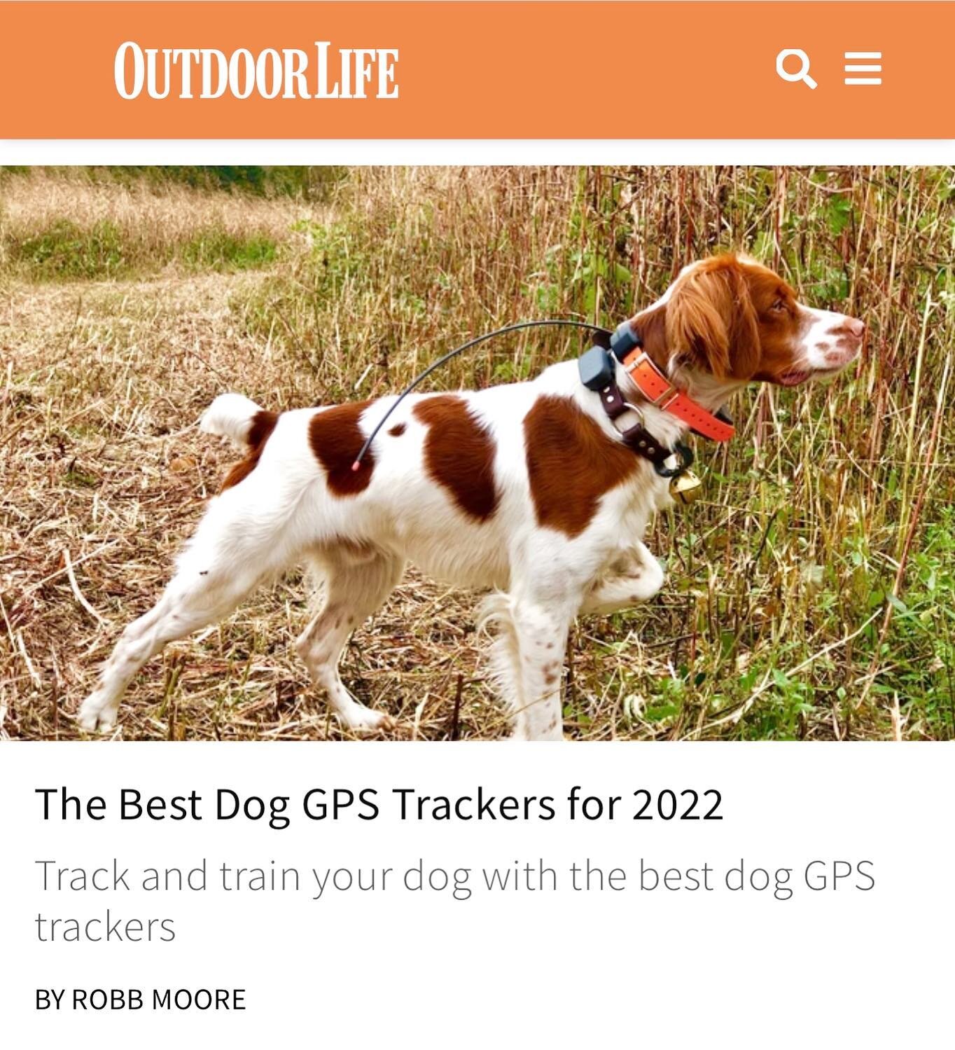 Lincoln and I have a review just out this morning with @outdoor_life surveying the wide array of GPS tracking options for dogs. We had fun testing and learning more about some of the options we haven&rsquo;t used before and grew to appreciate the one