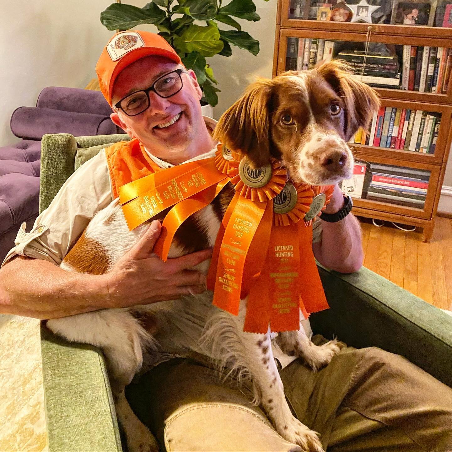 Never spoil your bird dog &hellip; or he might get four qualifying scores as @americankennelclub #seniorhunter in one weekend &hellip; our first time out of the gate for hunt tests - sometimes I&rsquo;m truly blown away by this boy - I don&rsquo;t de