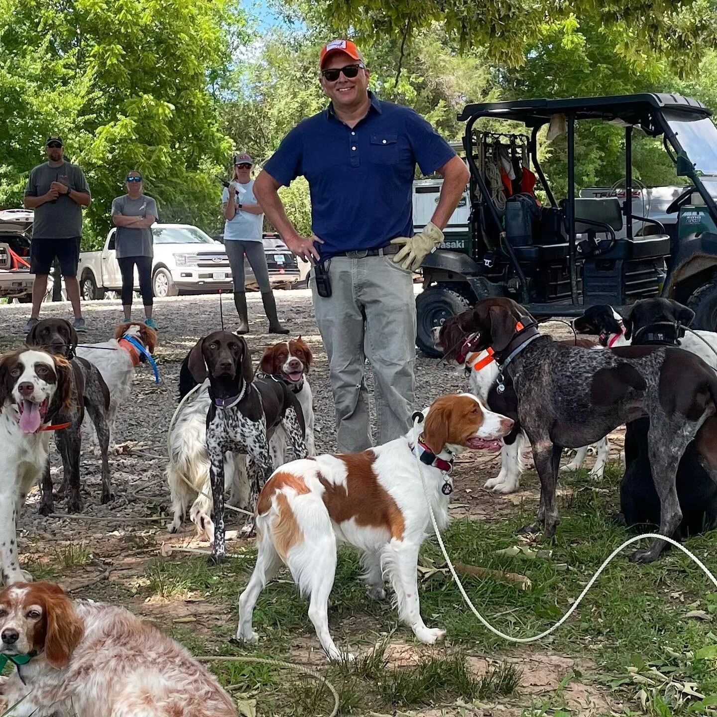 It&rsquo;s been a fantastic Dog Dad&rsquo;s Day Weekend from root to toot. Happy Father&rsquo;s Day, everybody #fathersday #dadsday #dogdad #frenchomelette #dog #brittany #americanbrittany #virginiabrittany #brittanysofinsta #brittanysofinstagram #bi