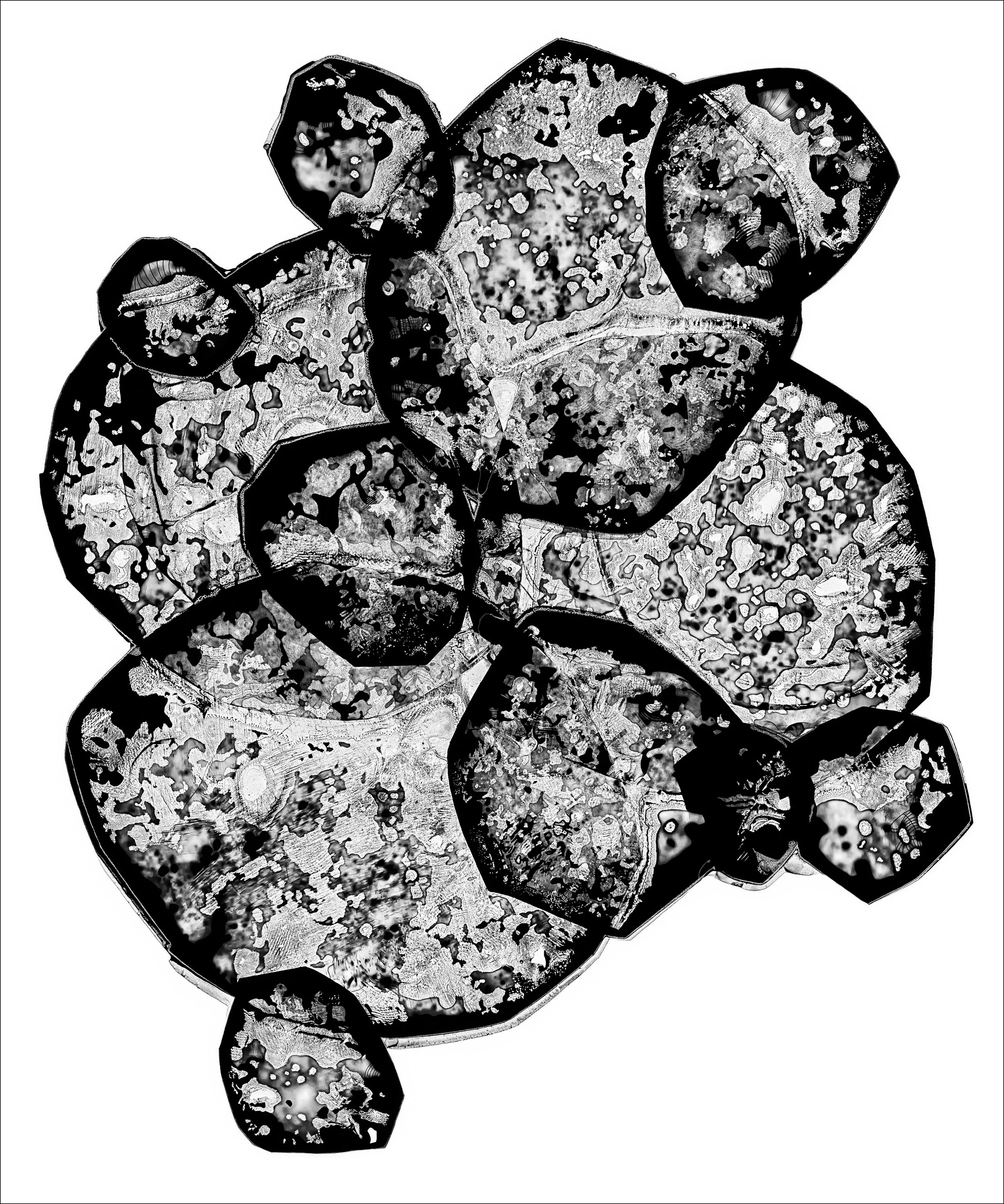 Synthesis #30