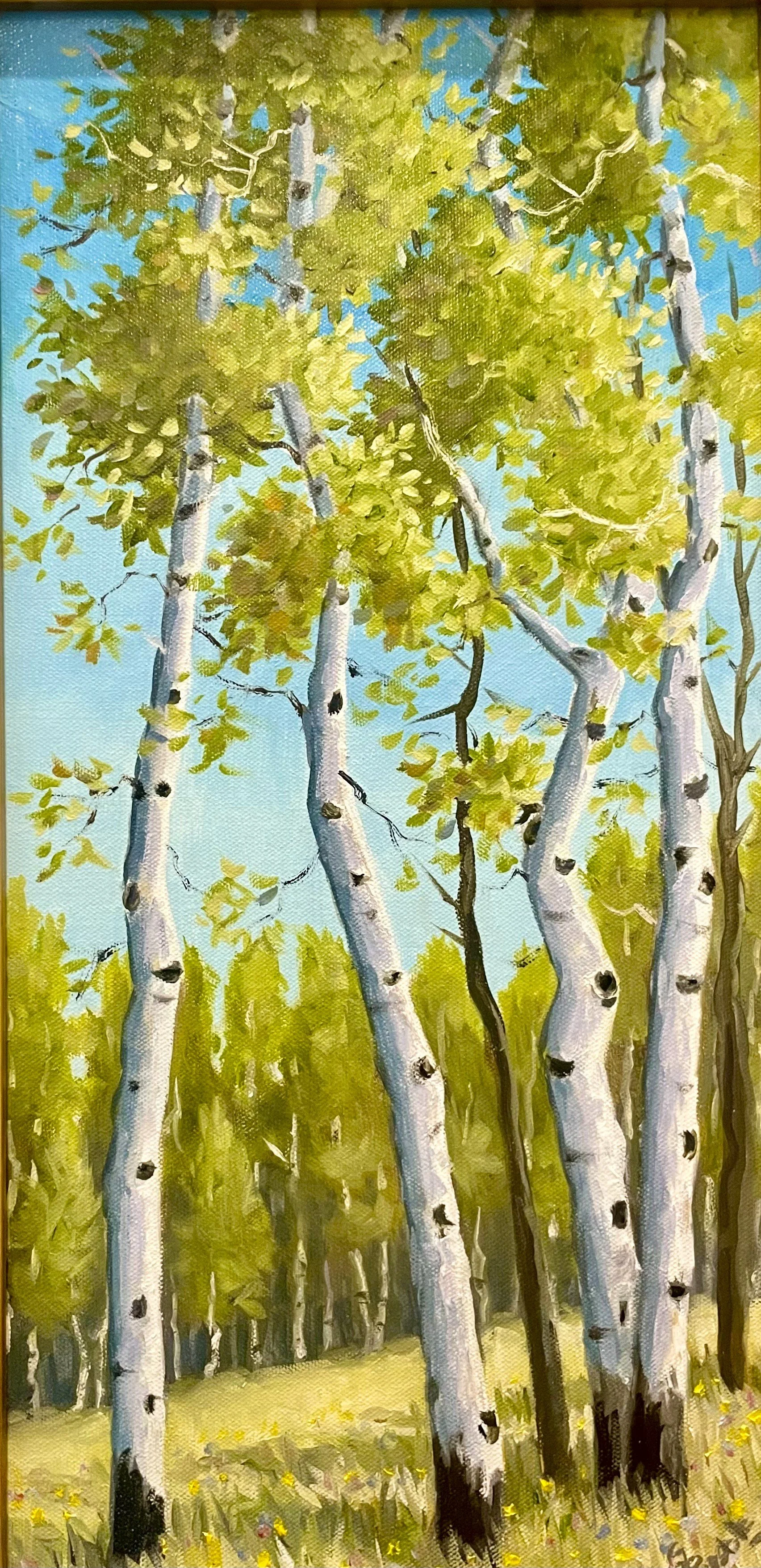 Summertime Aspens1.jpg