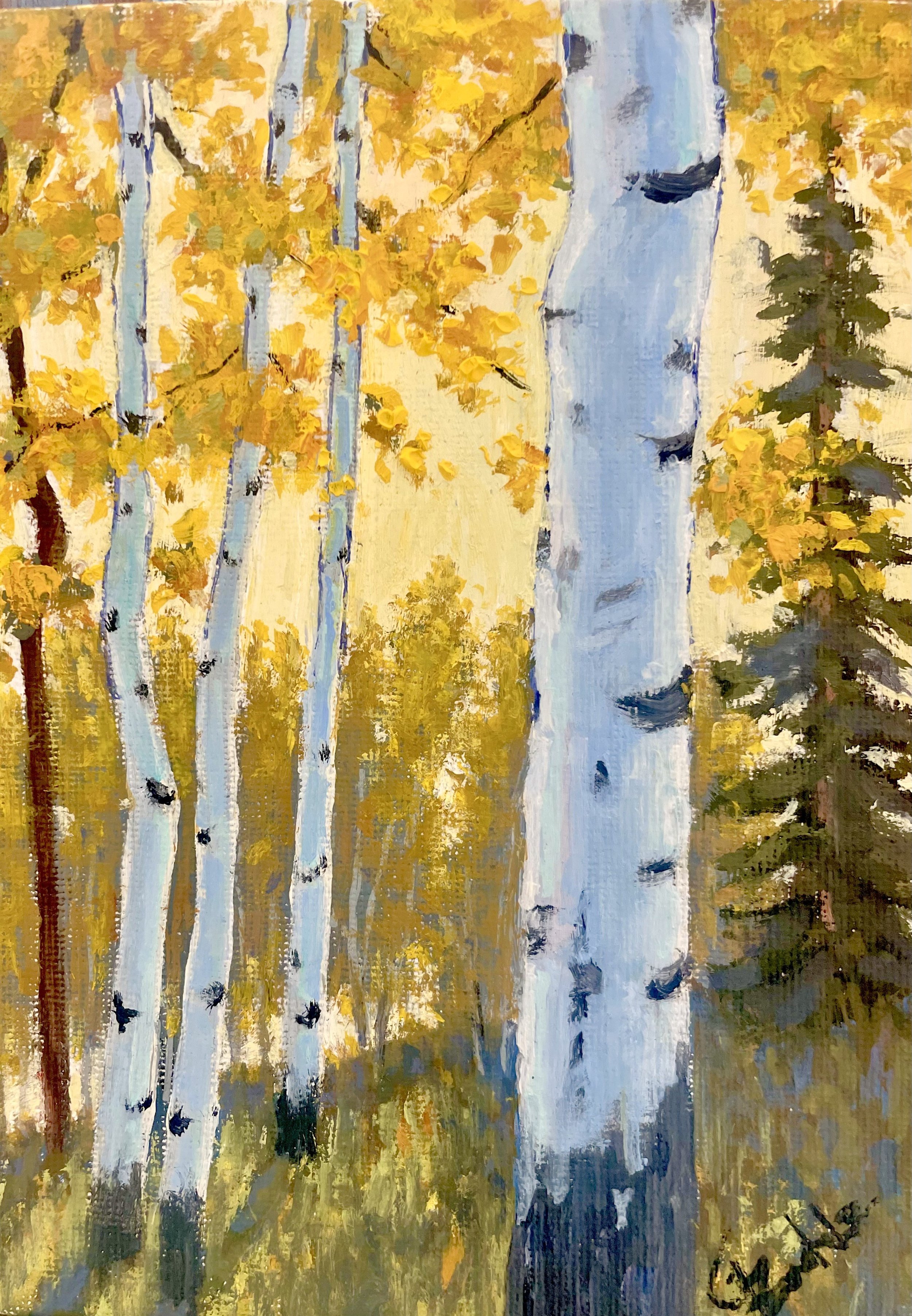 Aspens at Sunset.jpeg