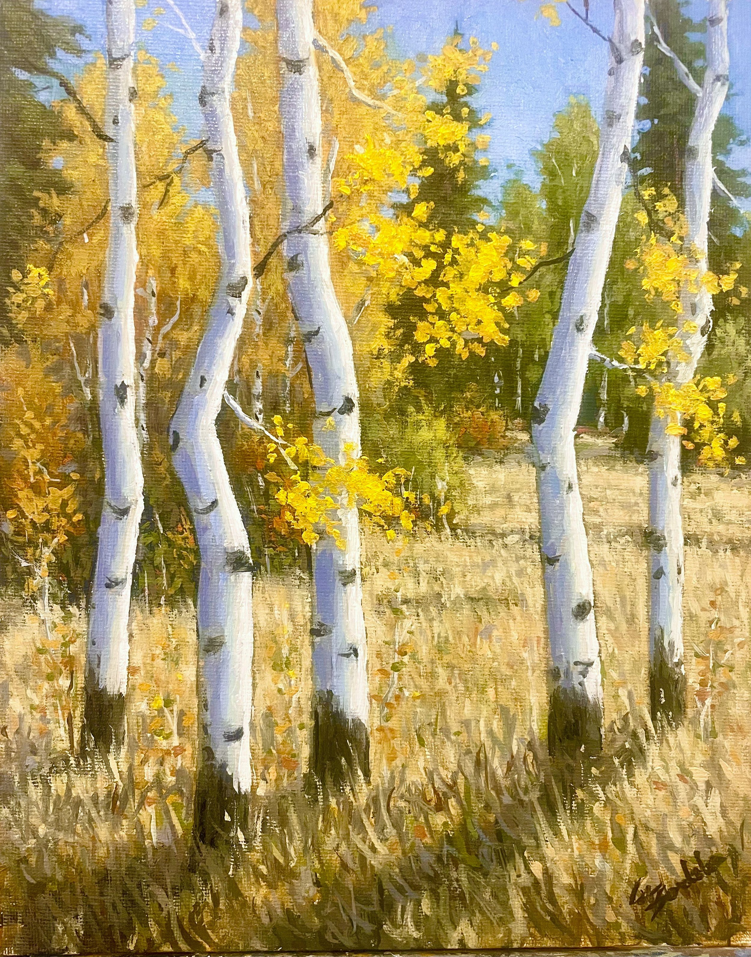 Autumn Aspens.jpeg