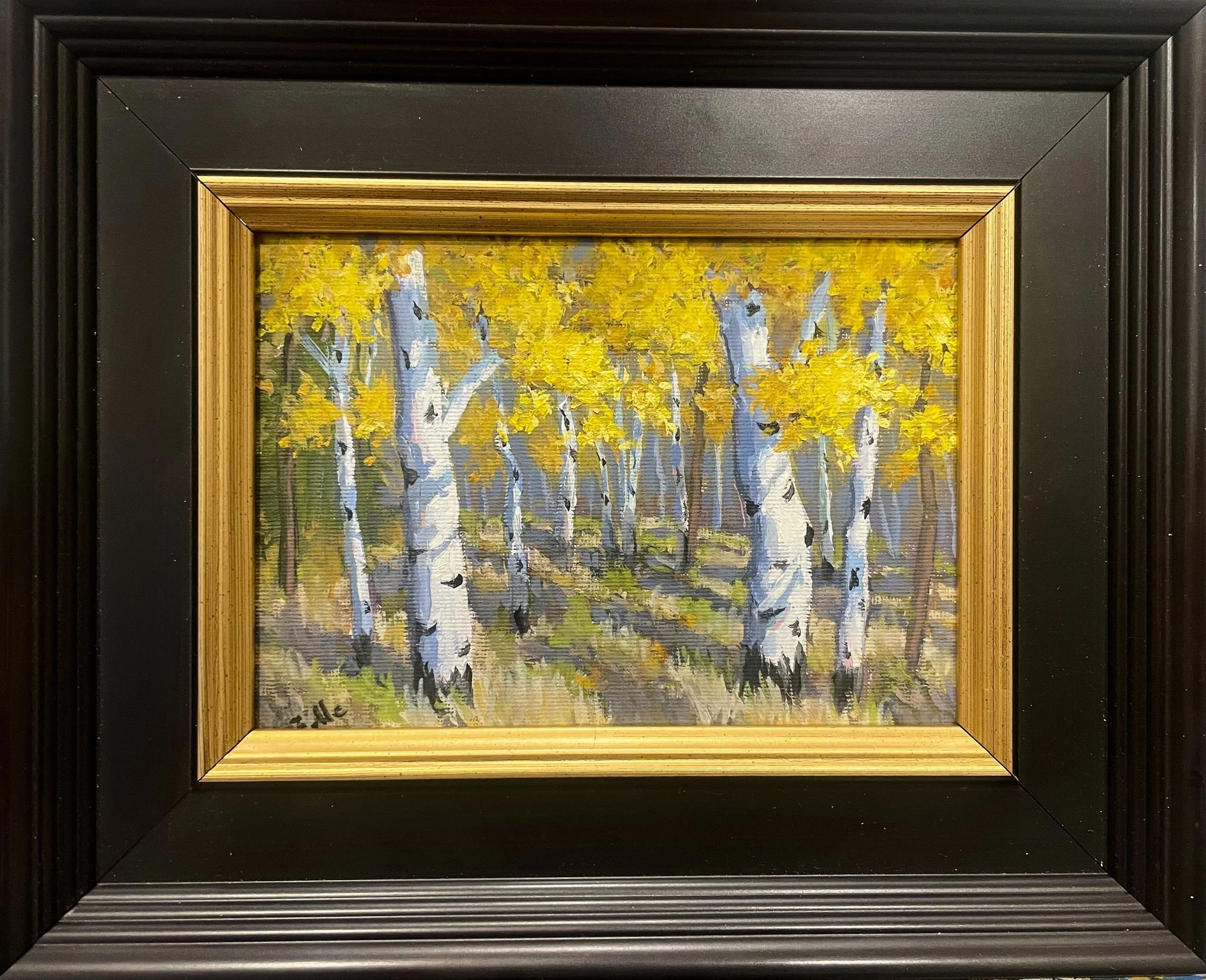 Fall Color Framed.jpeg