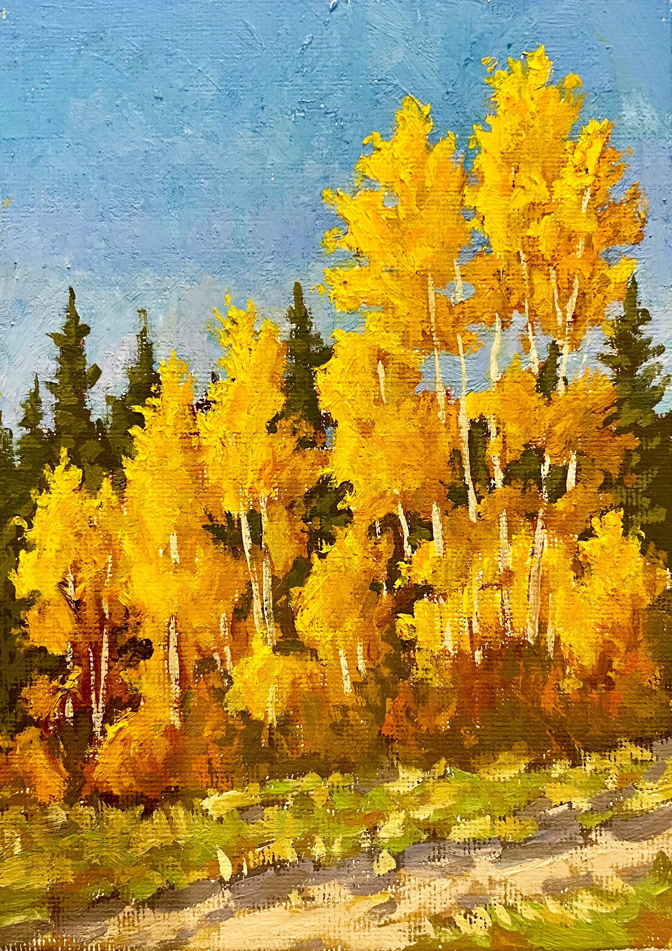 Wolf Creek Pass Aspens.jpeg