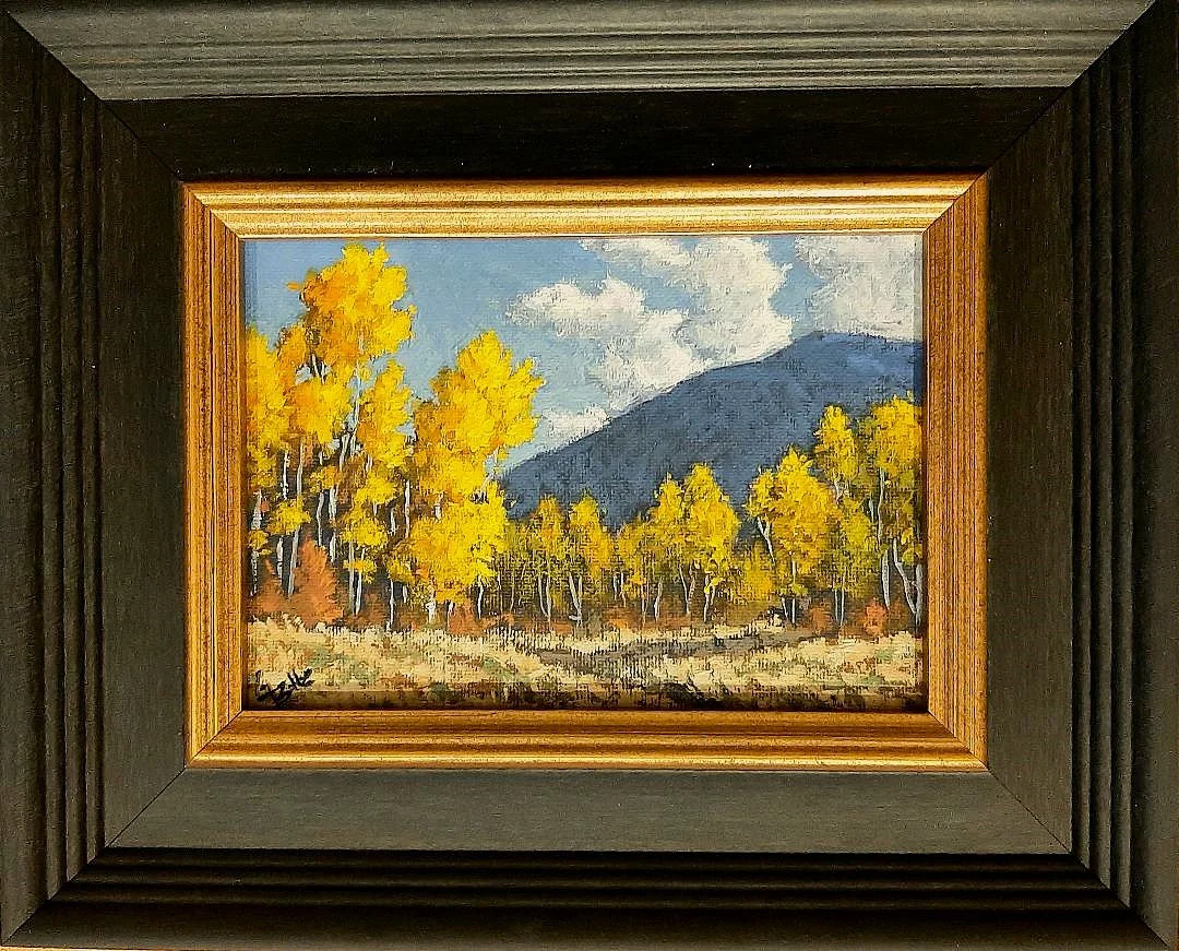 Meadow View Framed.jpg