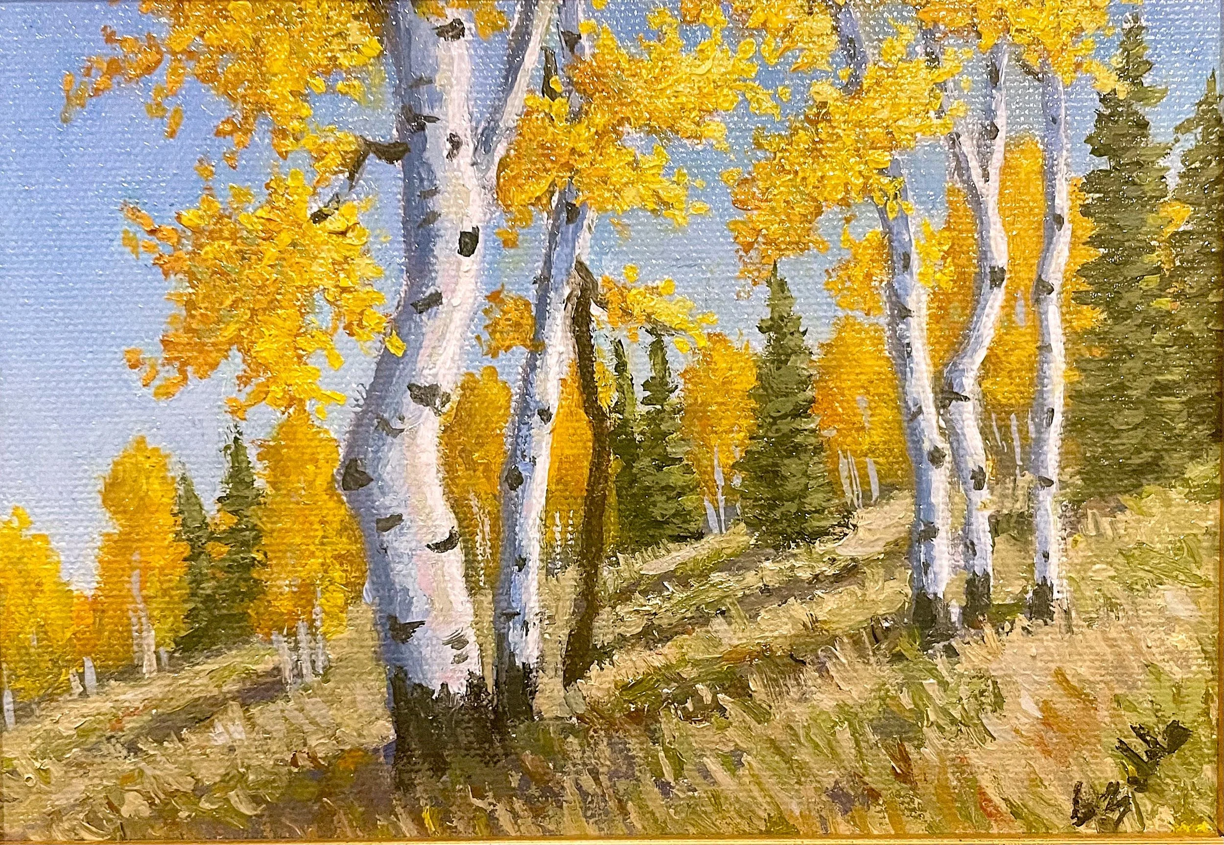 A Beautiful Day.jpeg