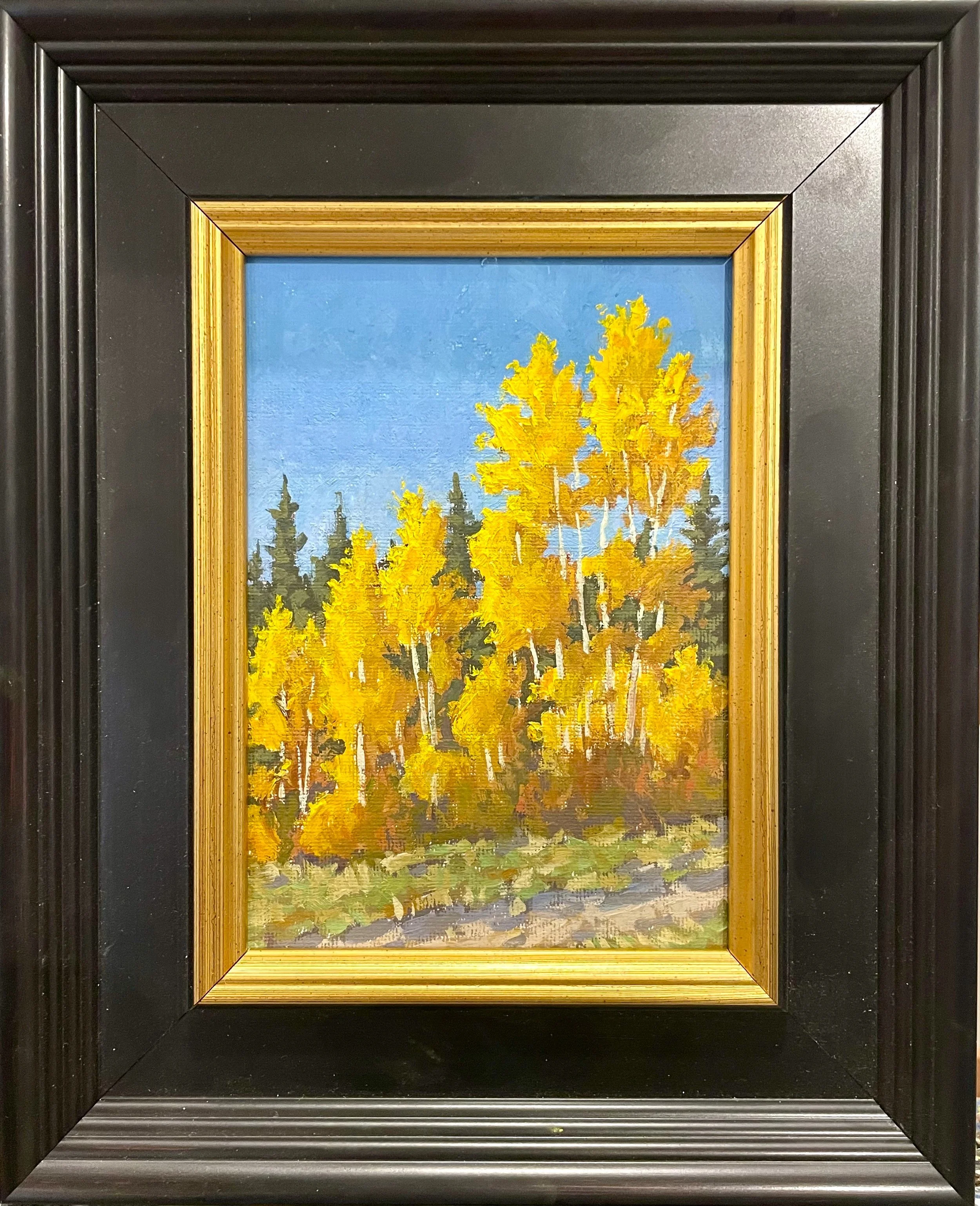 Wolf Creek Pass Aspens Framed.jpeg