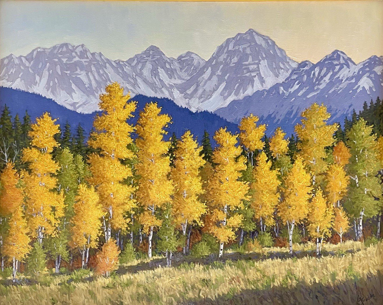 Morning Aspens.jpeg