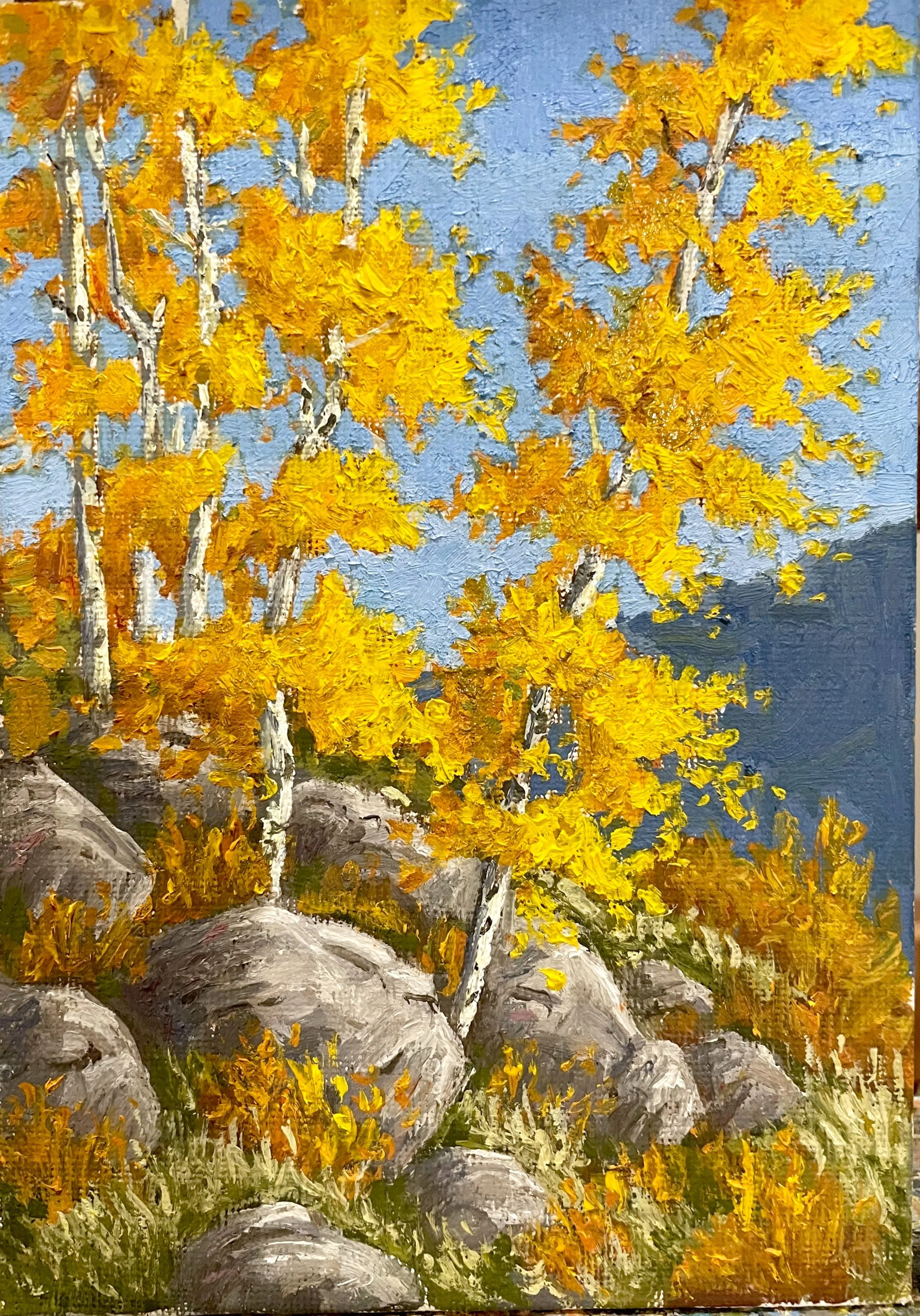 Boulder Aspens.jpeg