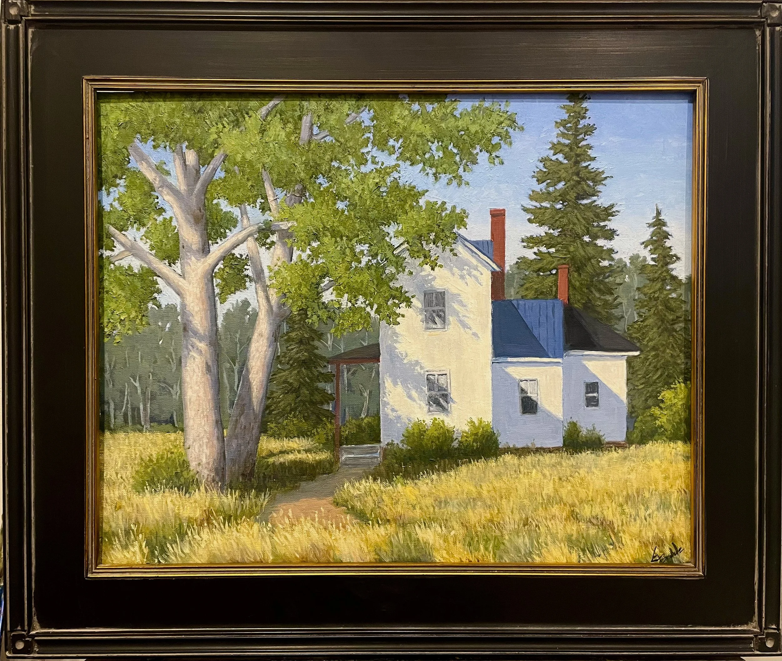 Aging Gracefully 26 x 22 Framed.jpeg