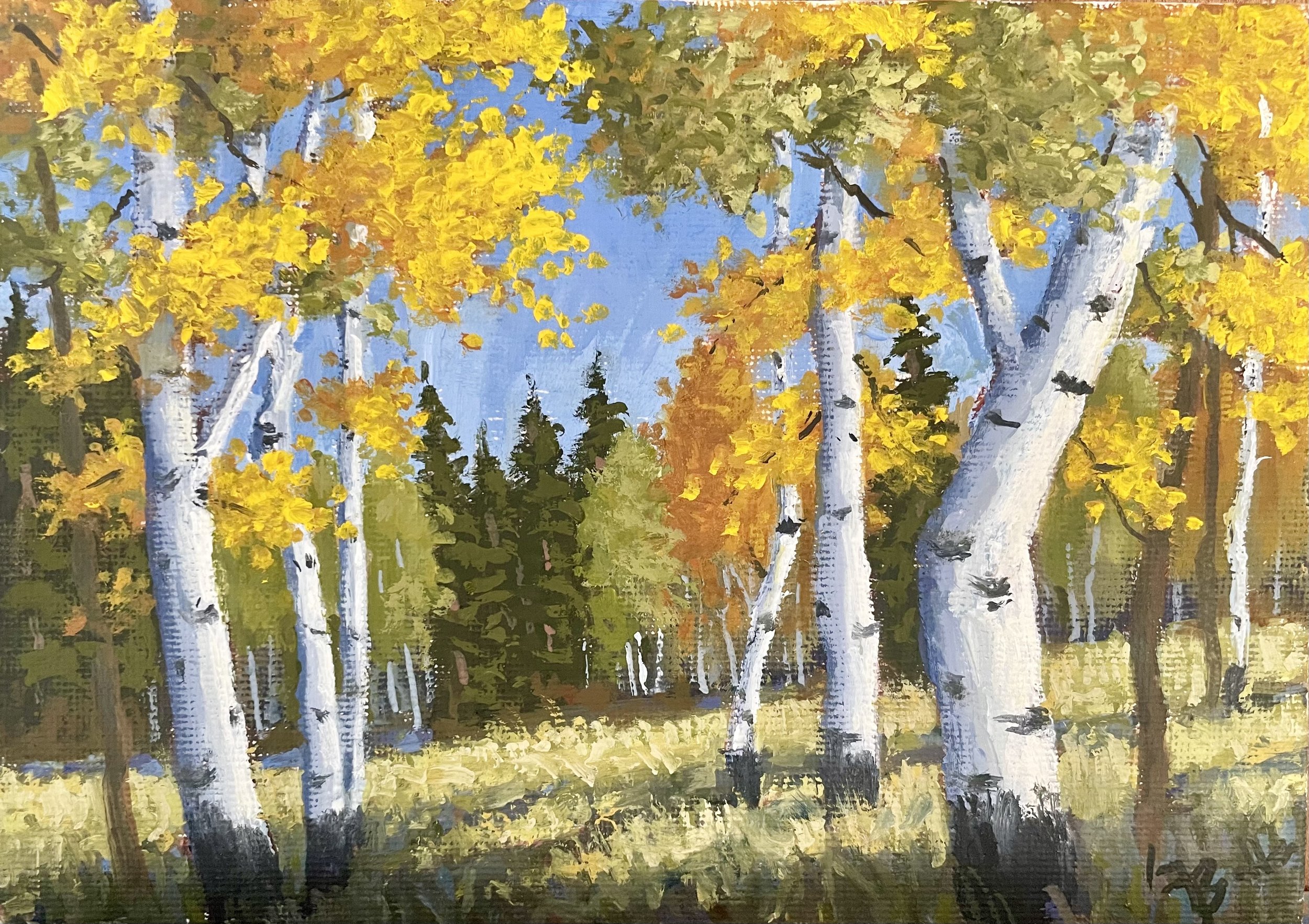 Edge of the Forest.jpeg