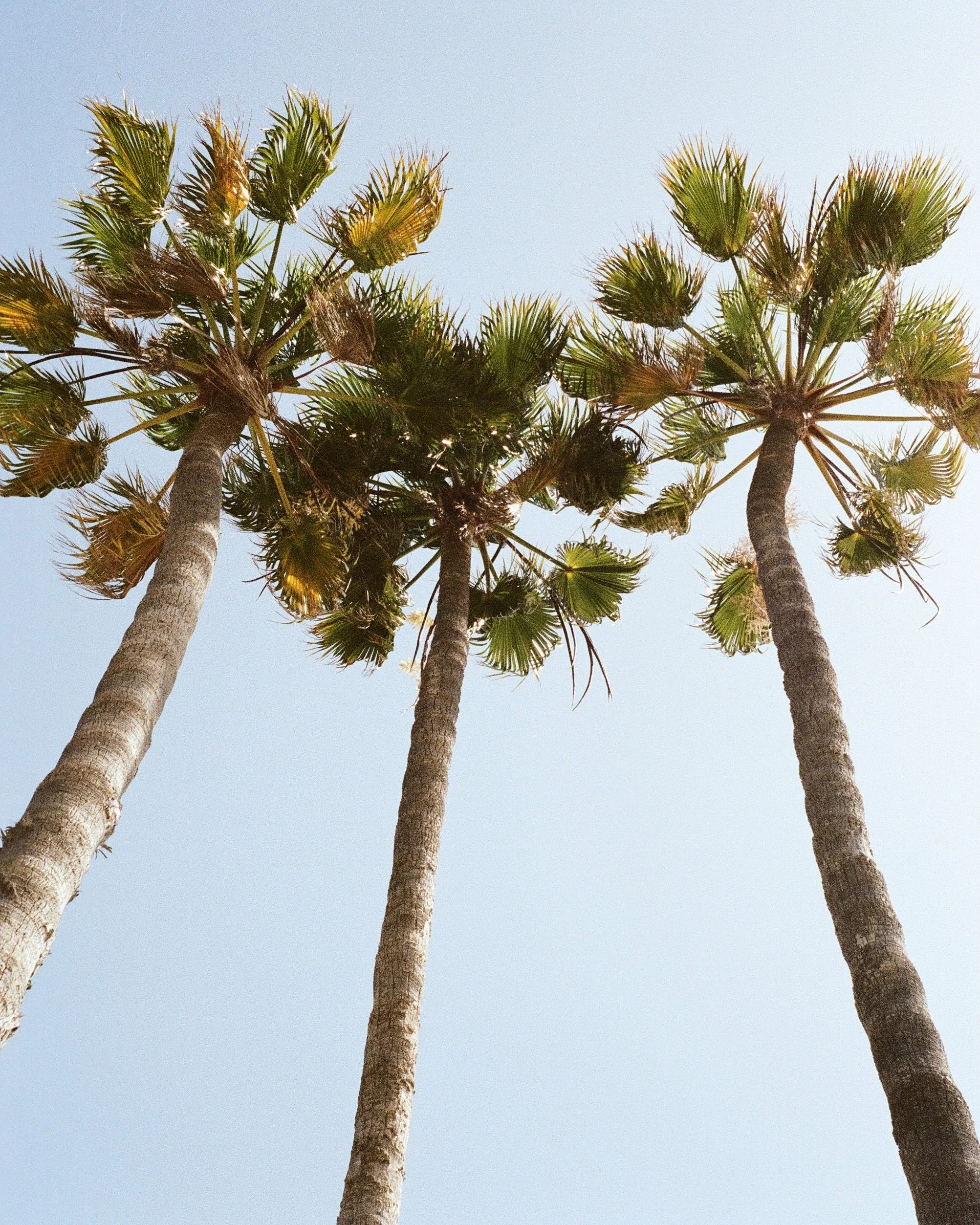 A love letter to one of my favorite parts of the world 🎞️

Film Photography Travel Photography 35mm Photographer Los Angeles San Diego