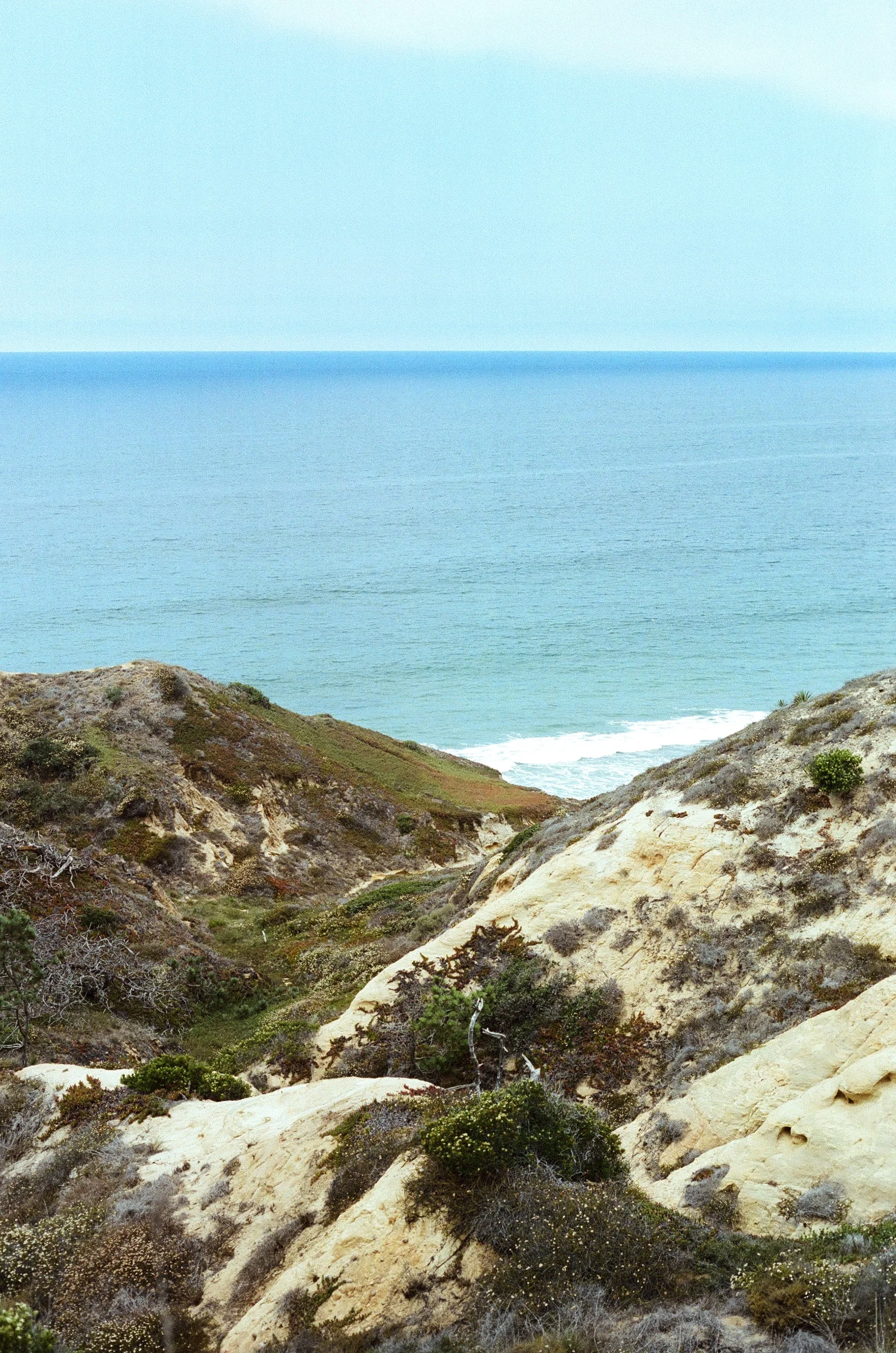 LA Film_8.jpg