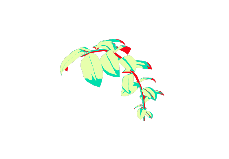 plantwavefinal.gif