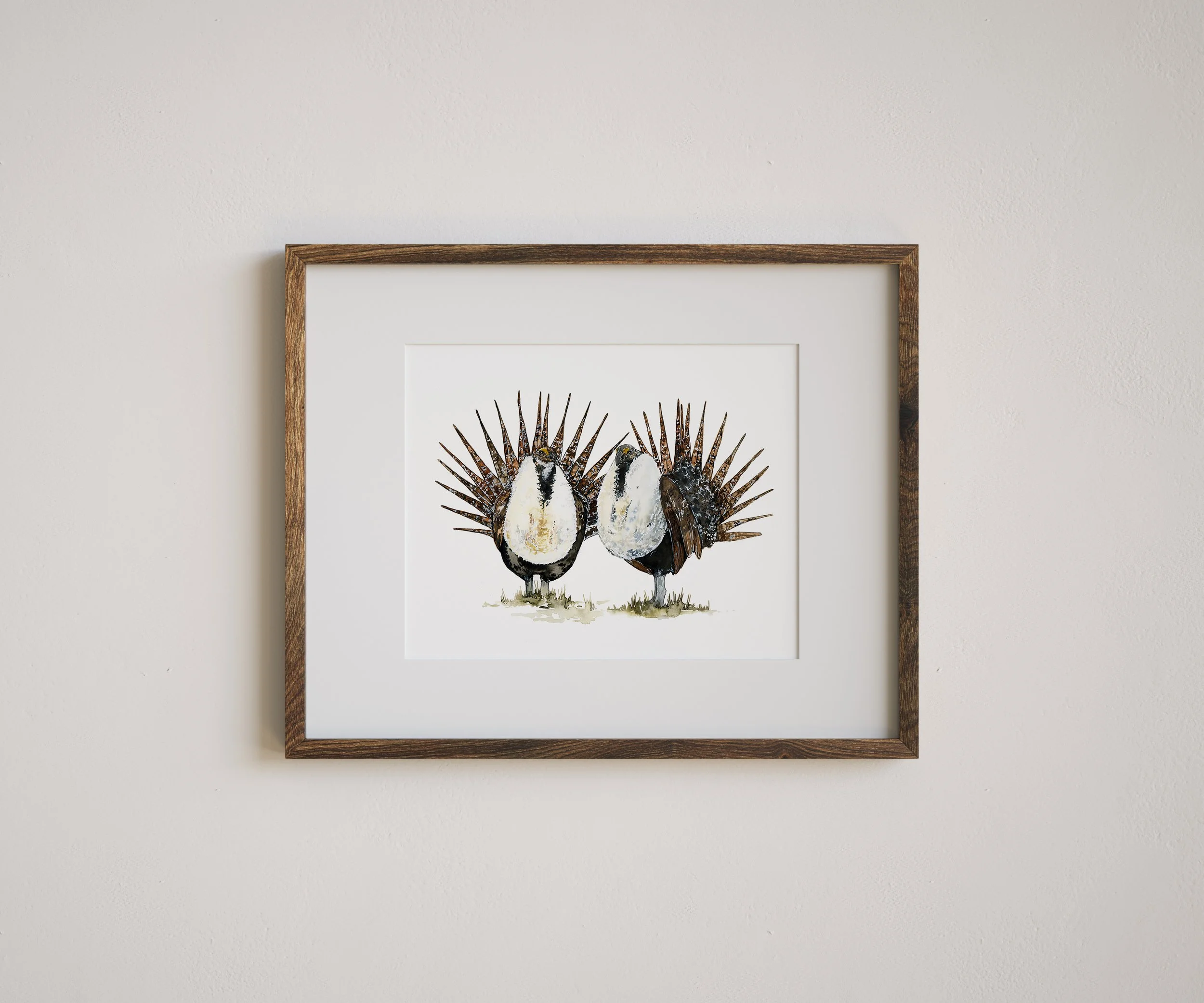 Sage Grouse