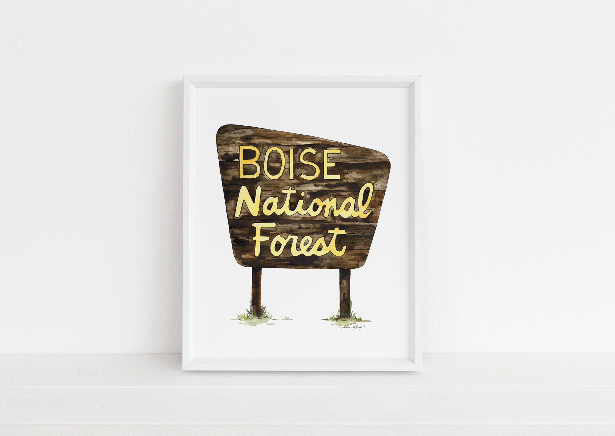 boise-national-forest.gif