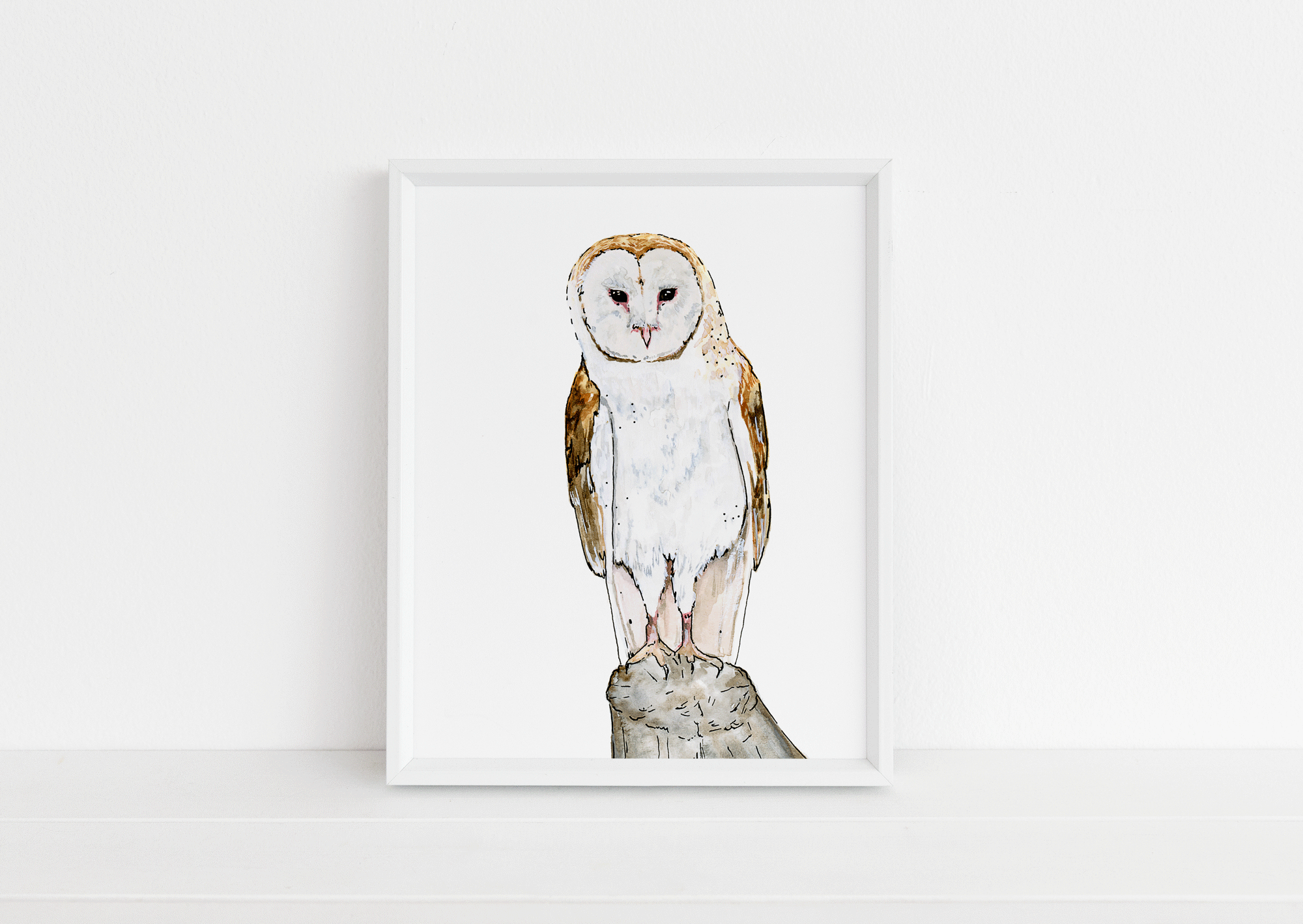 small-barn-owl.gif