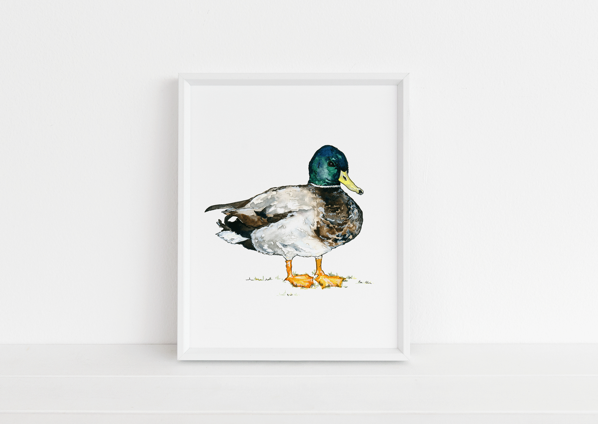 duck.gif