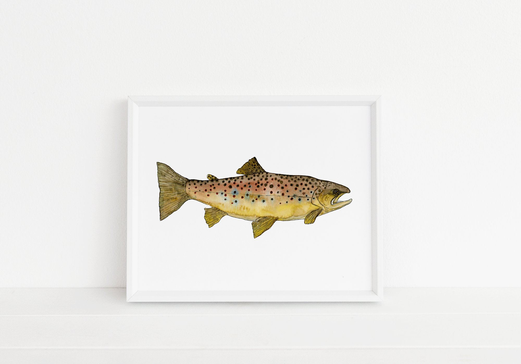 brown-trout.gif