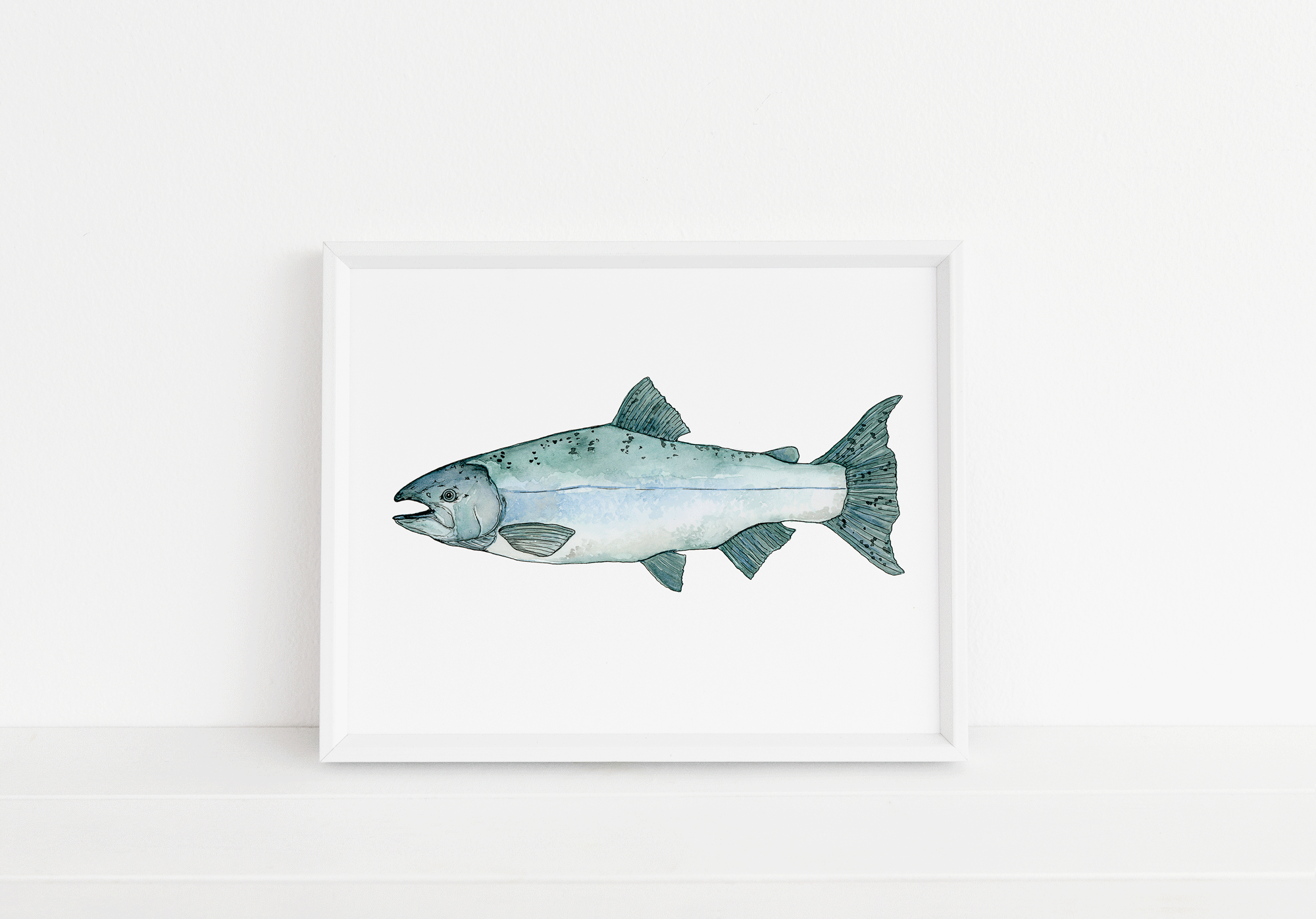 chinook-salmon.gif