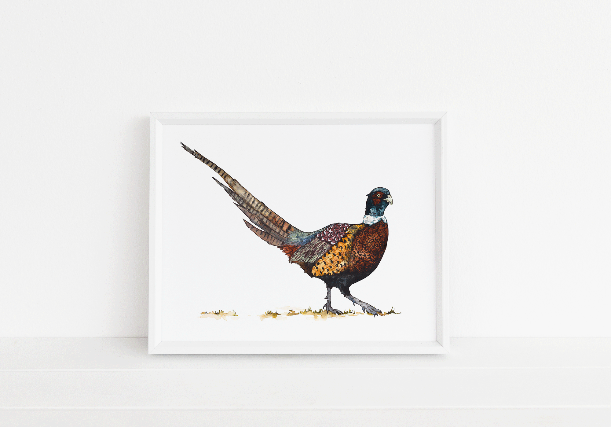 Pheasant Print