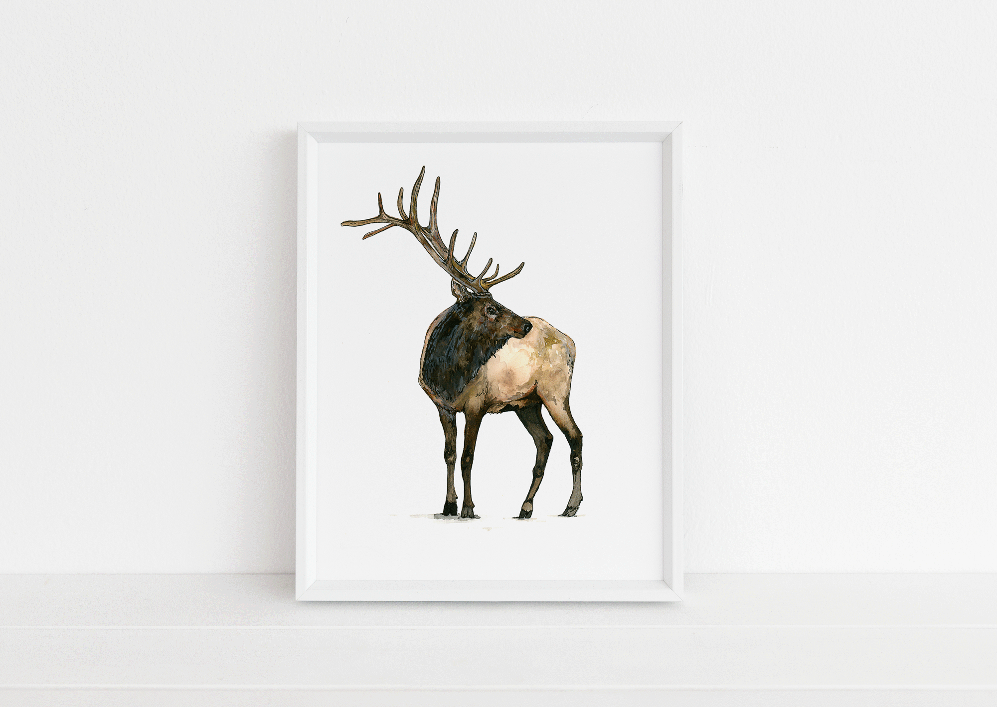 Elk Print