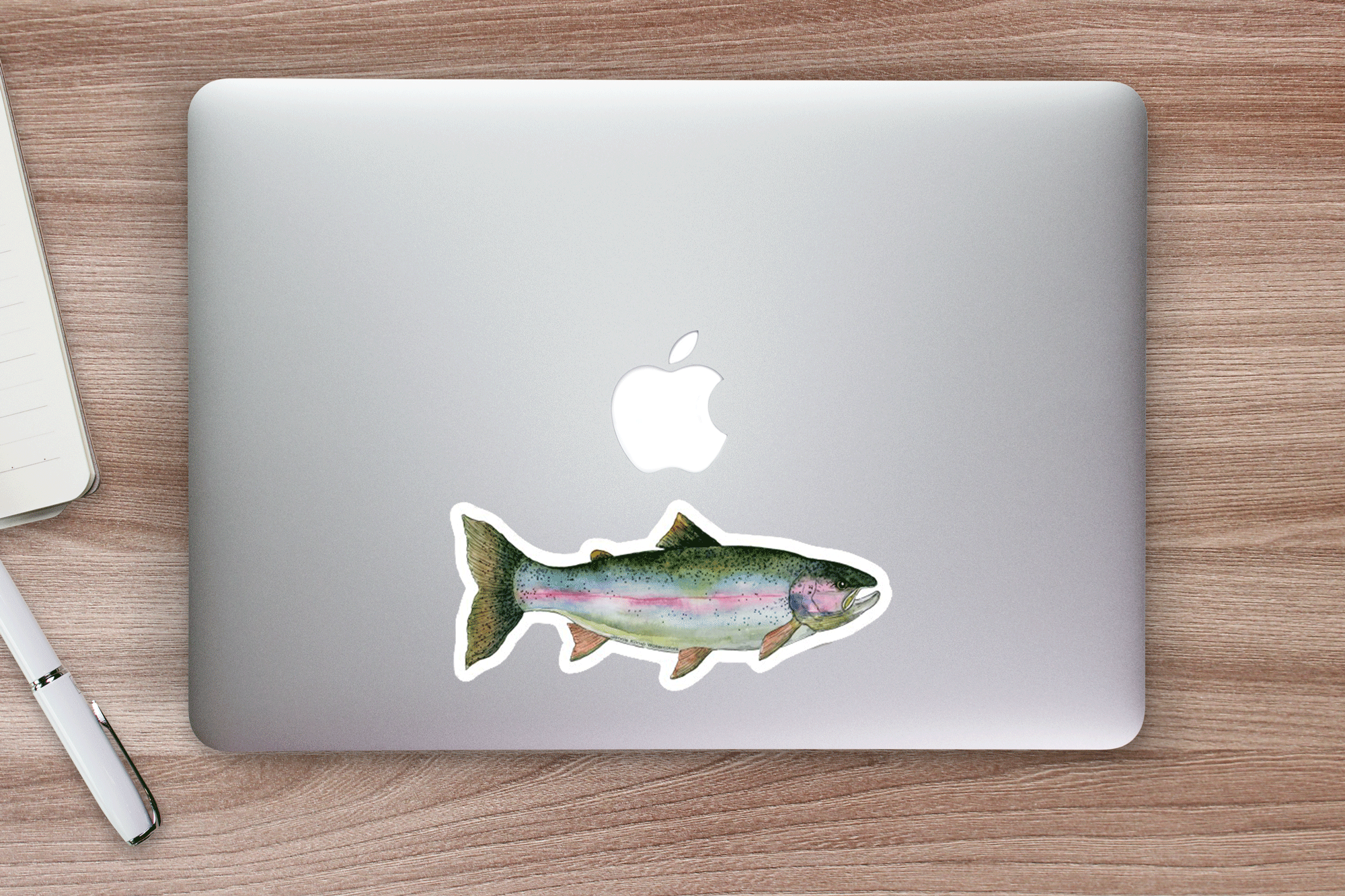 Rainbow Trout Fish Sticker