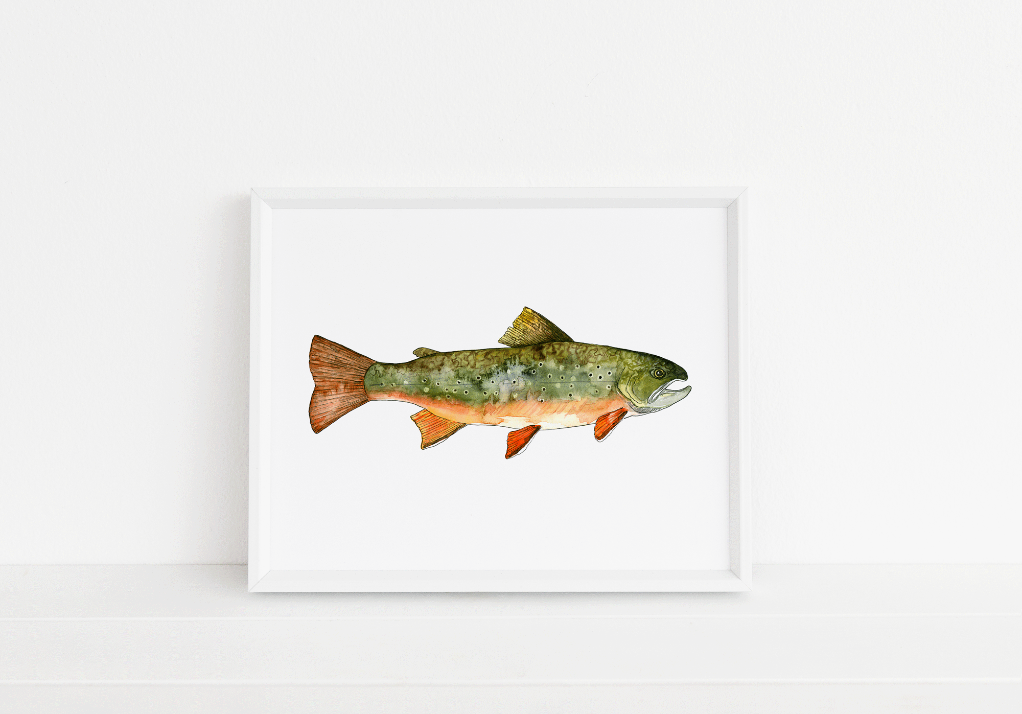 Brook Trout Print
