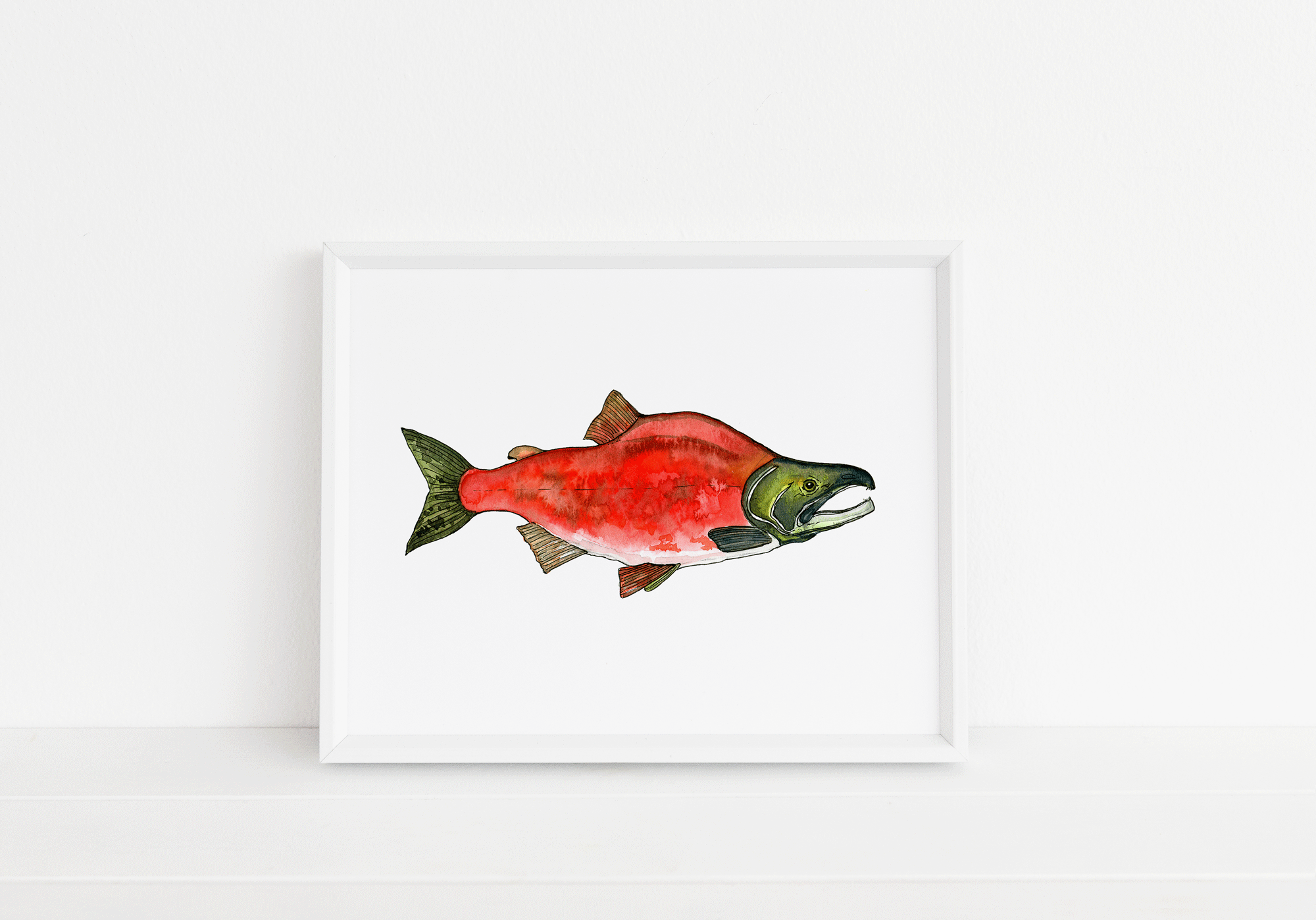 Sockeye Salmon Print