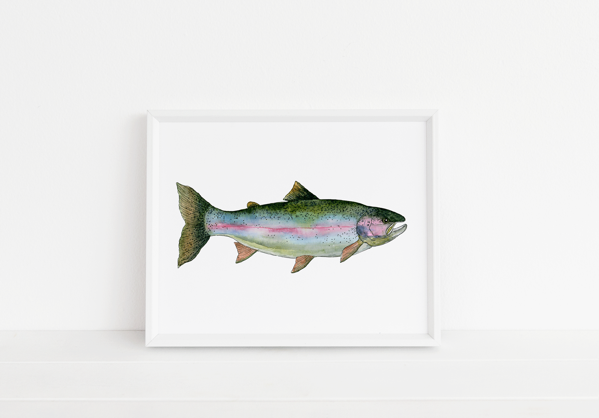 Rainbow Trout Print