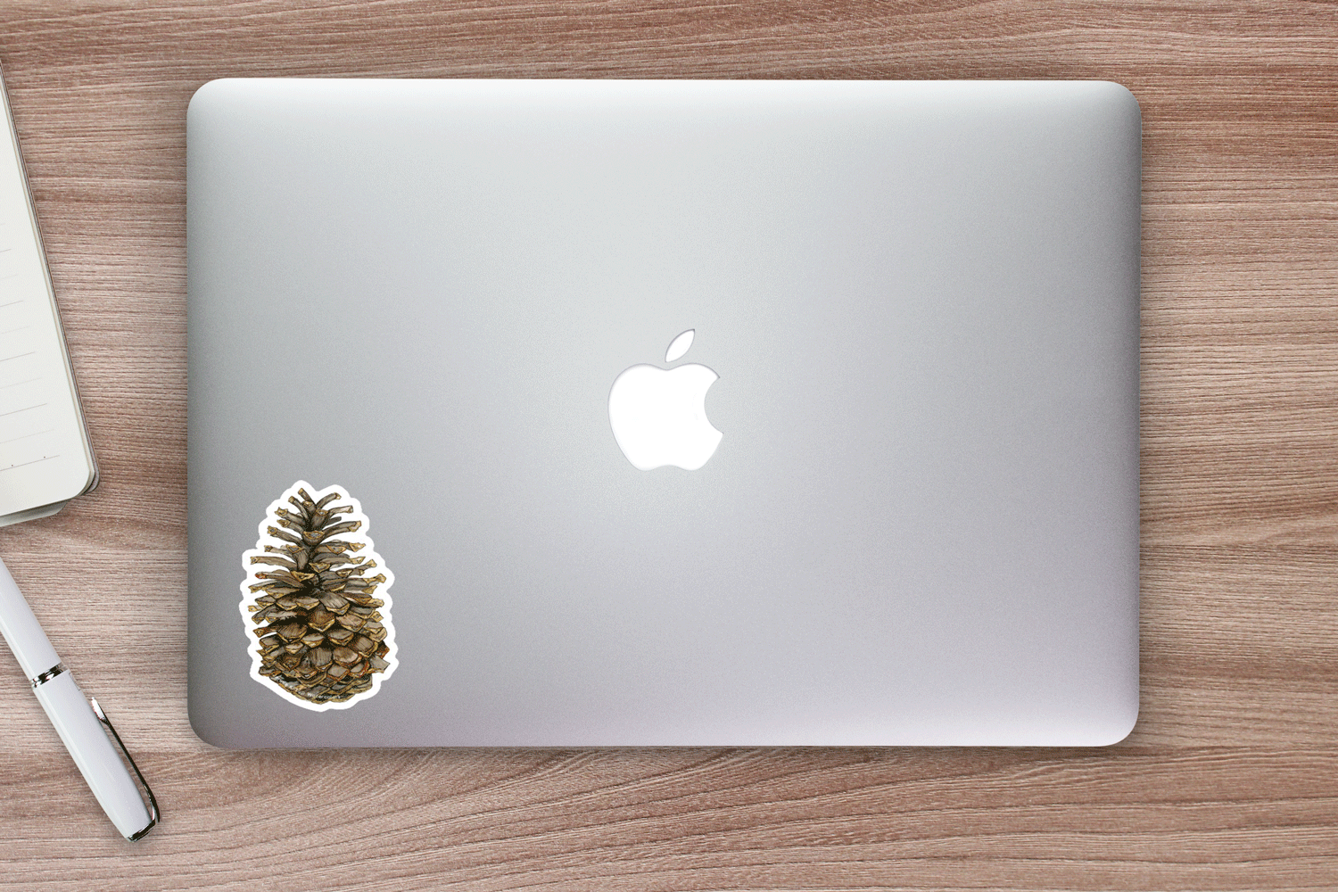 Pine-Cone-Sticker-Web.gif