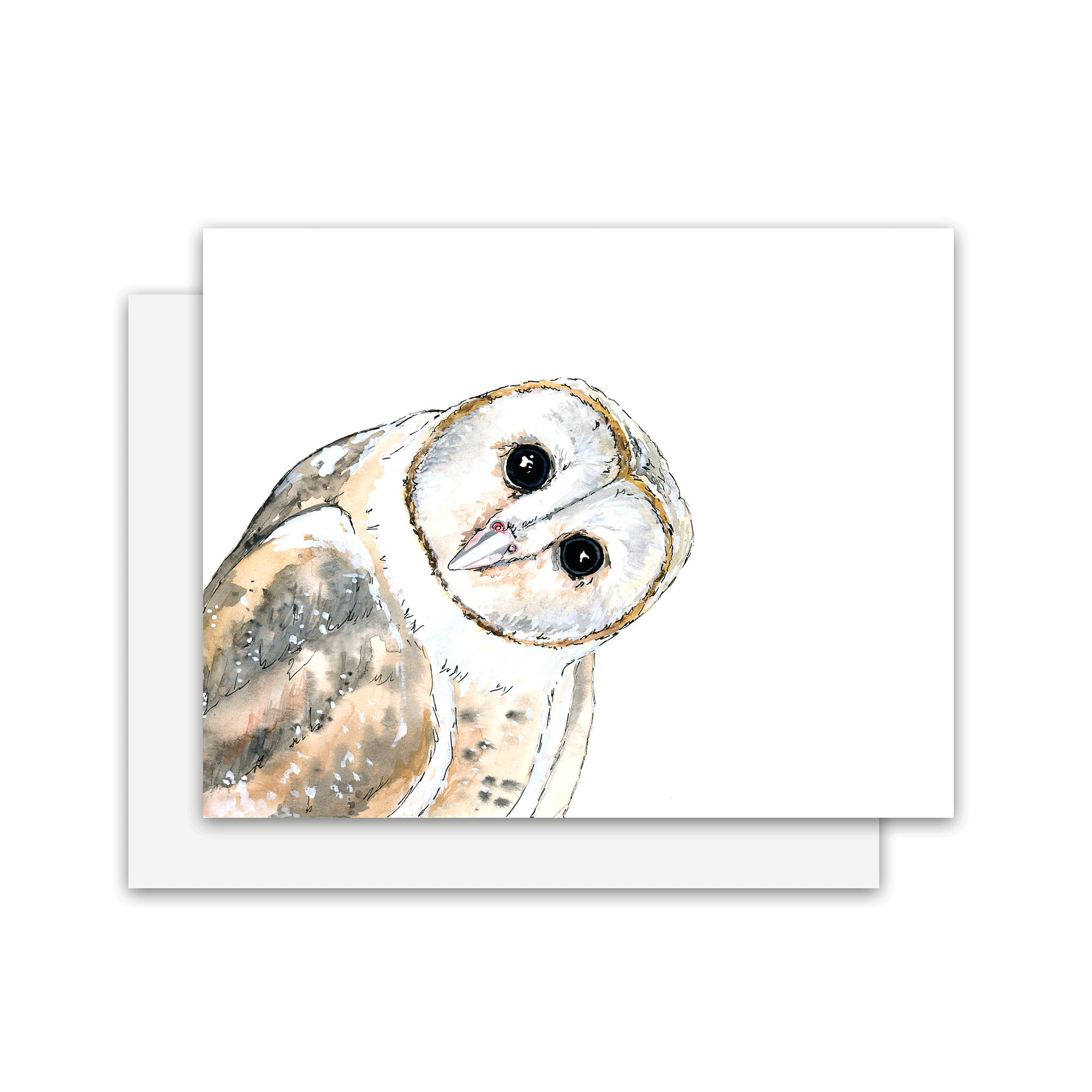 barn-owl-card.gif