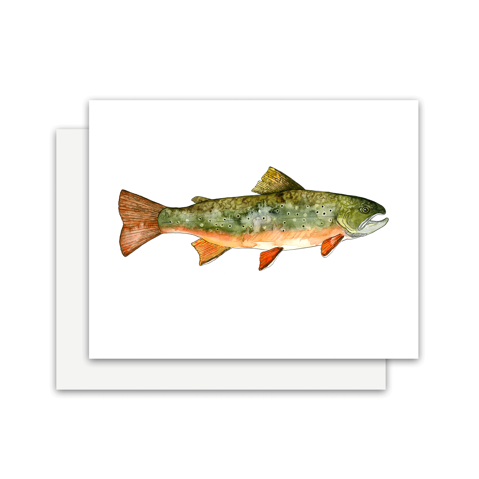 Brook-Trout-Card.gif