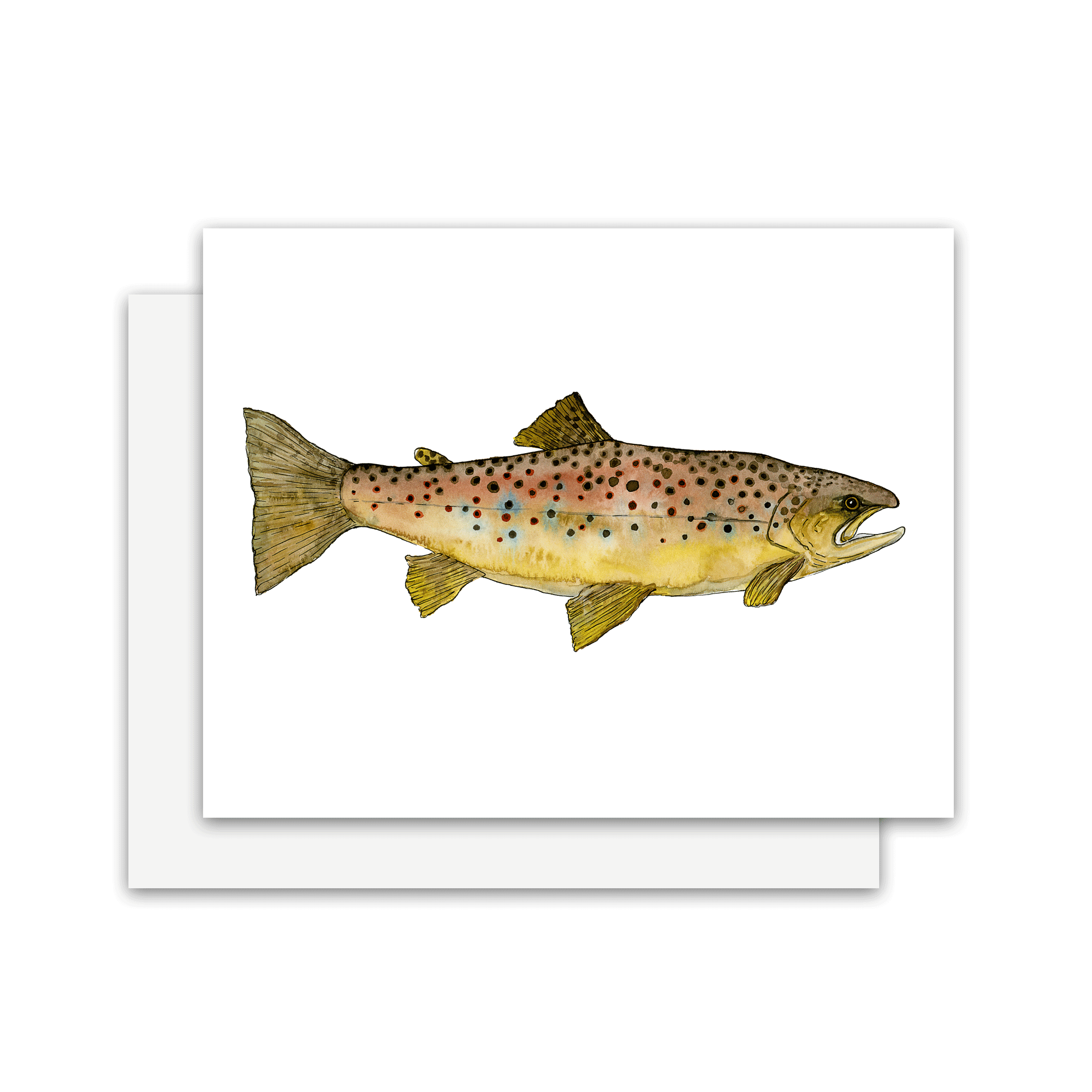 Brown-Trout-Card.gif